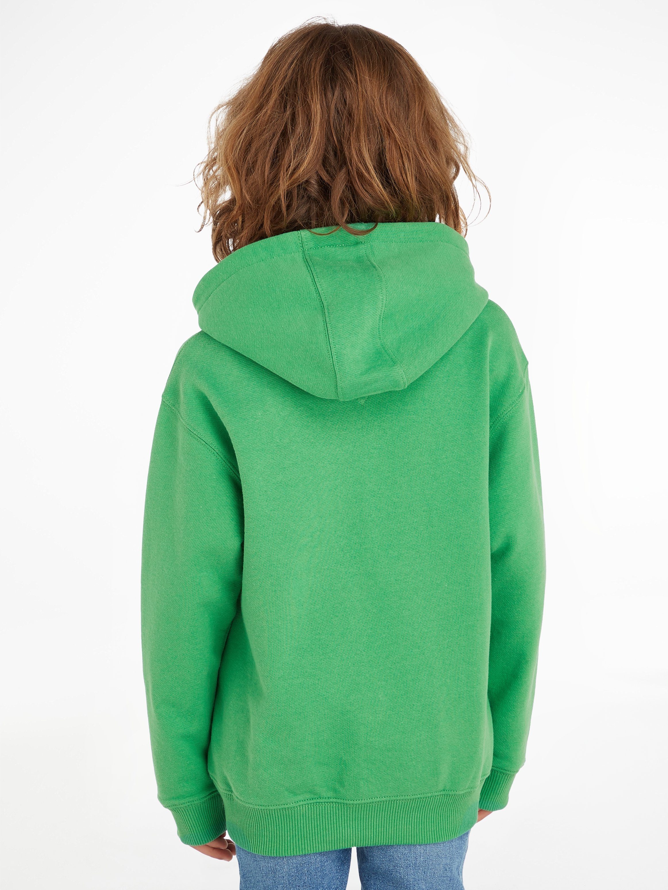 Tommy Hilfiger mit Kapuzensweatshirt Logo-Schriftzug Hilfiger ARCHED Coastal_Green HILFIGER HOODIE