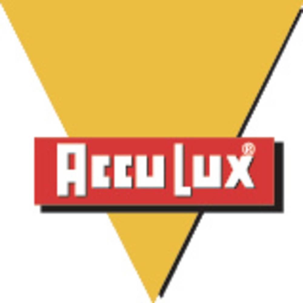 AccuLux Arbeitsleuchte 5 LED Handstrahler 456441