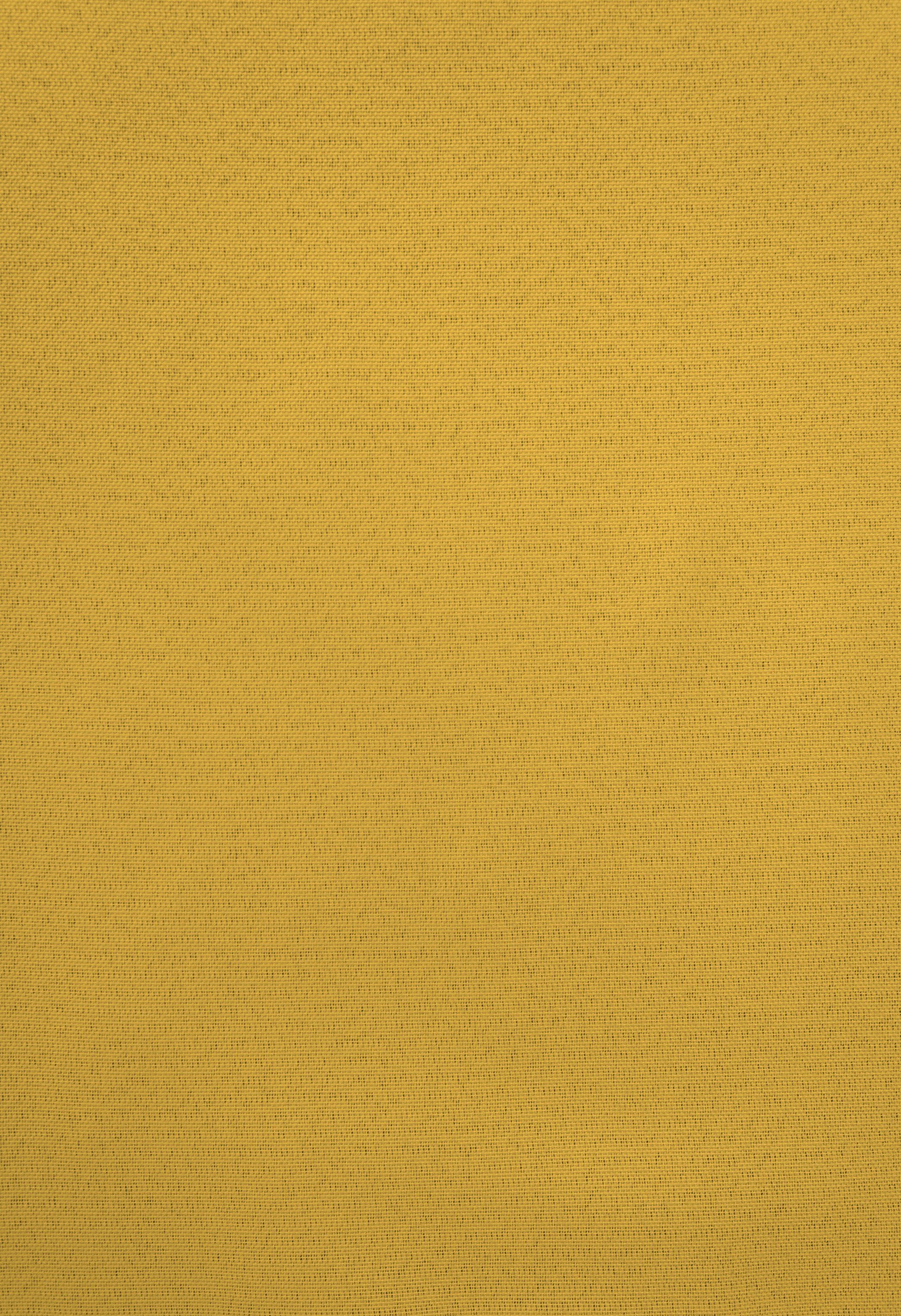 Sandro, cm abdunkelnd, VHG, Breite einfarbig, Ösen Polyester, Vorhang 140 gold Verdunkler, St), (1