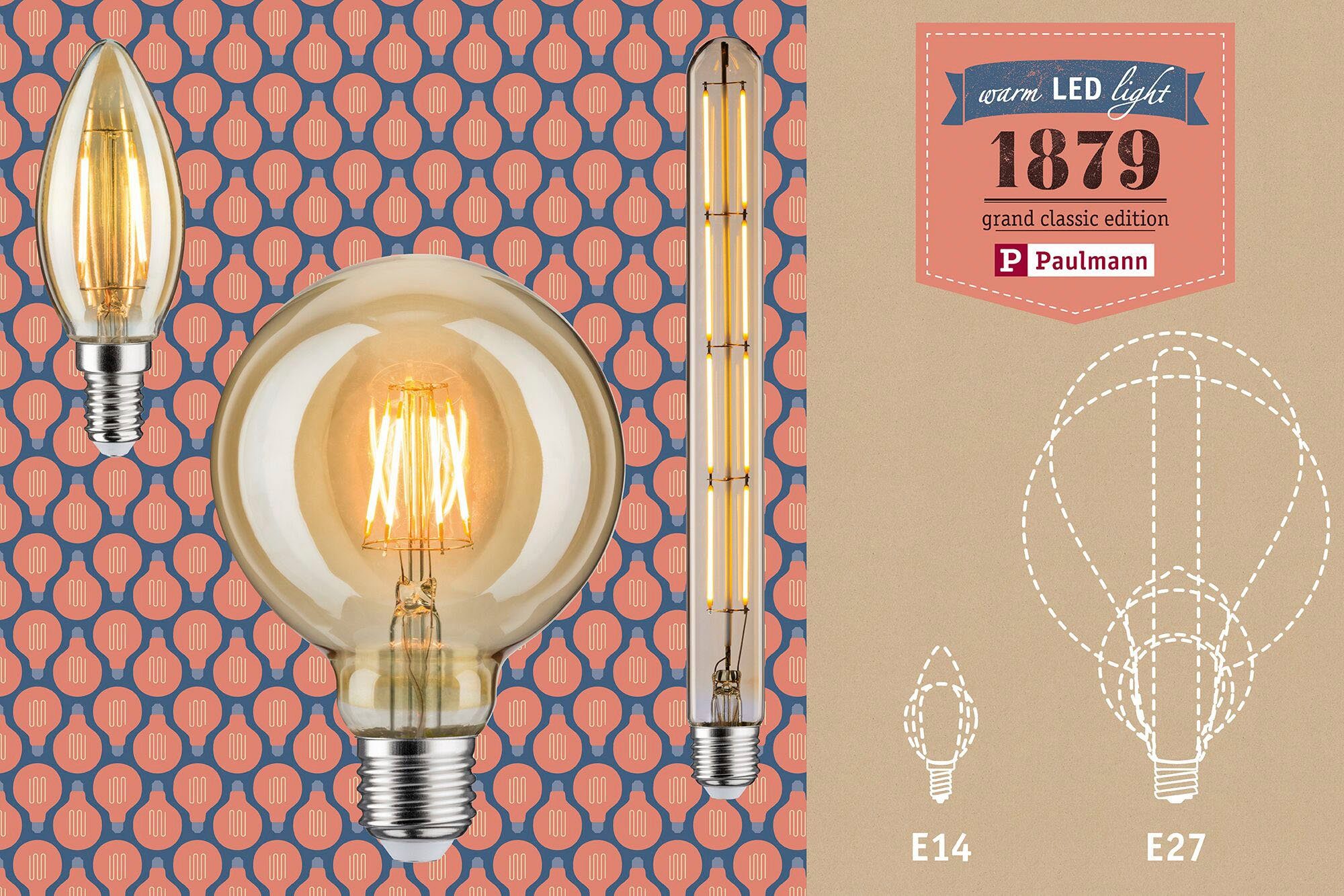 Paulmann LED-Leuchtmittel E27 Goldlicht 6W Extra-Warmweiß 6W, dimmbar AGL AGL Vintage Vintage dimmbar 1 St