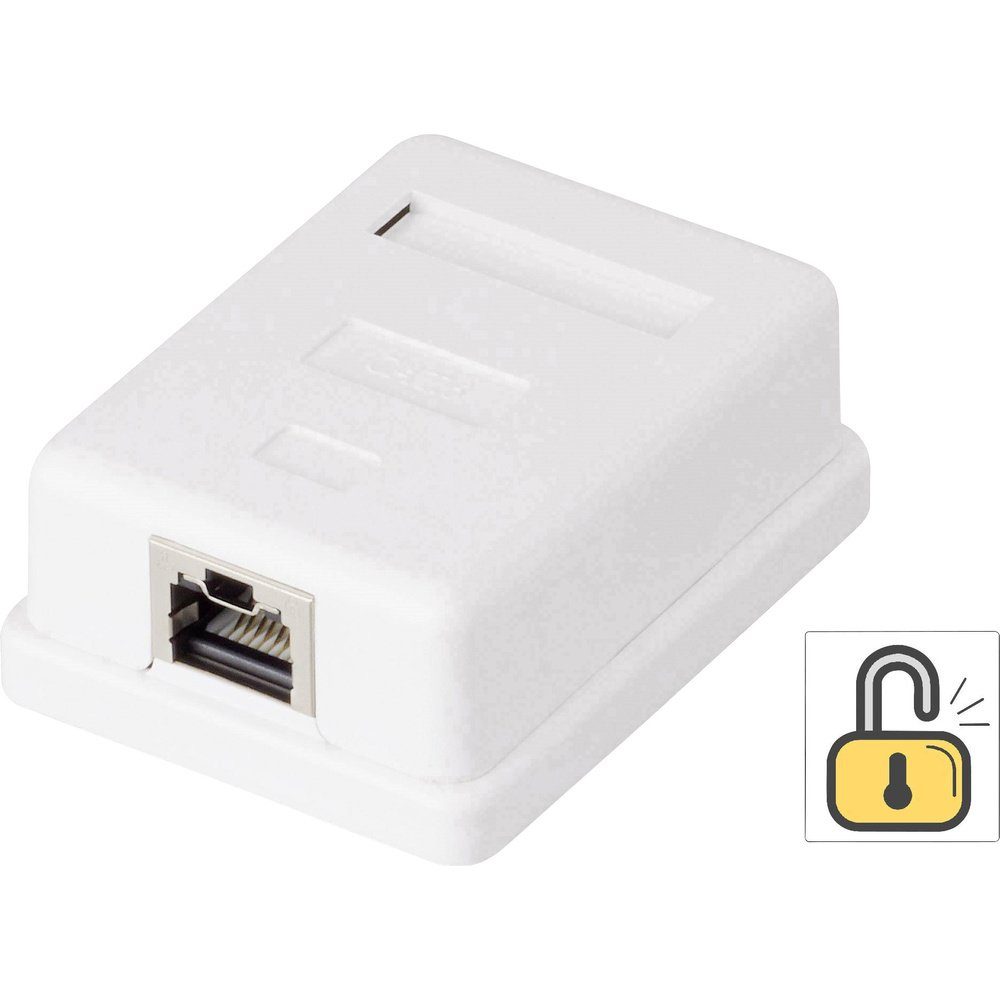 1 Port Netzwerkdose Aufputz CAT 6 Renkforce KSV-ND10 Weiß RF-4473849 Netzwerk-Adapter