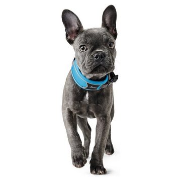 Hunter Tierbedarf Hunde-Halsband Halsband Divo hellblau/grau