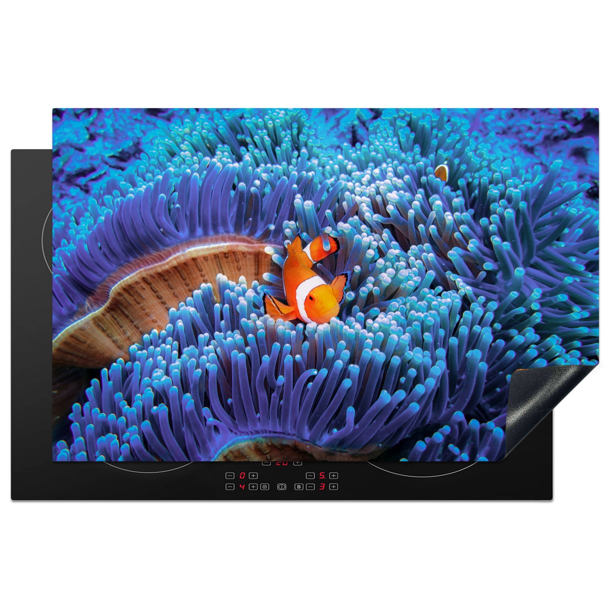MuchoWow Herdblende-/Abdeckplatte Dreibandige Anemonenfische schwimmen durch blaue Korallen, Vinyl, (1 tlg), 81x52 cm, Induktionskochfeld Schutz für die küche, Ceranfeldabdeckung