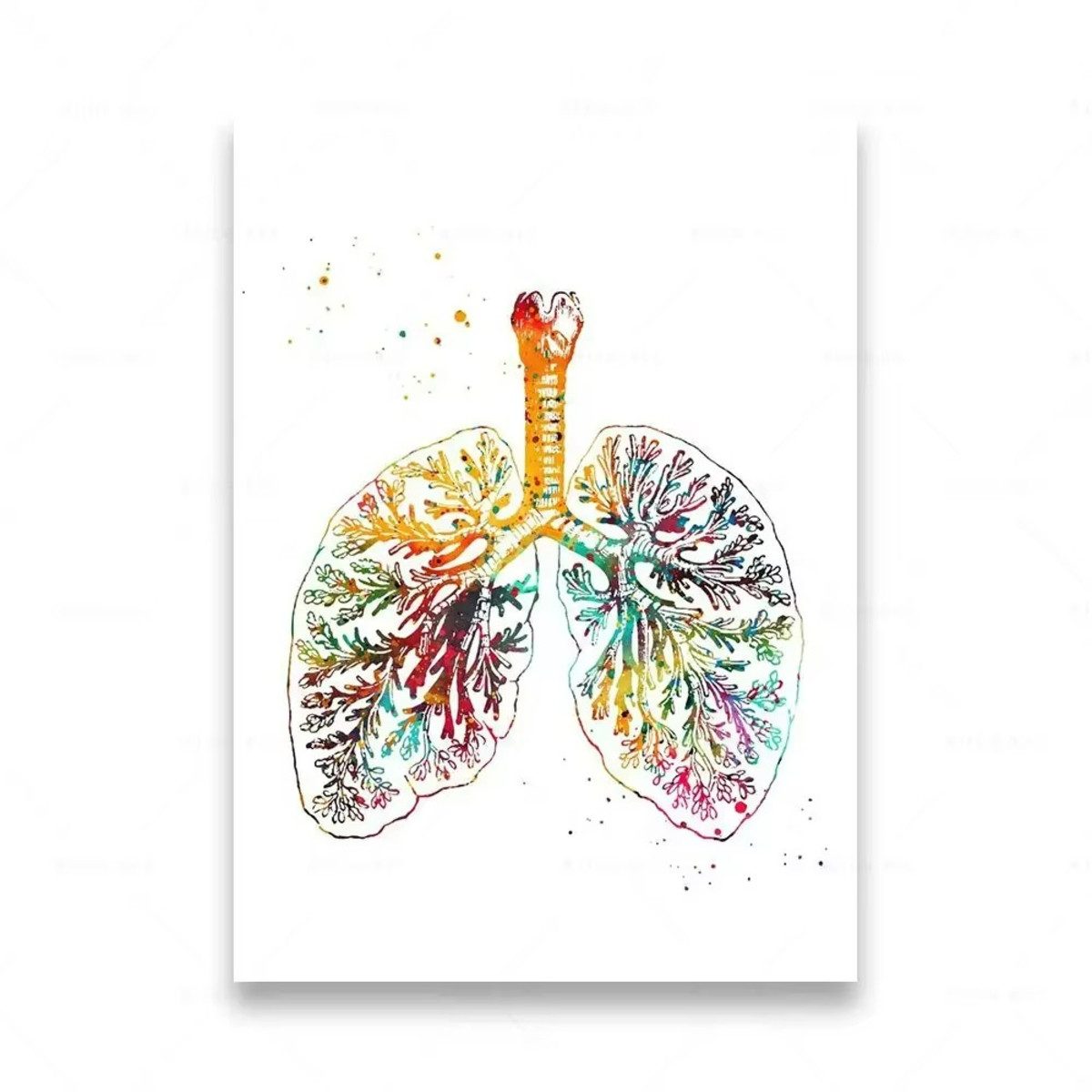 TPFLiving Kunstdruck (OHNE RAHMEN) Poster - Leinwand - Wandbild, Menschliche Anatomie, Wirbelsäule, Herz, Gehirn, Zähne, HD-Leinwand (Leinwandbild XXL), Farben: Orange, Rot, Blau, Schwarz, Weiß, Rosa -Größe: 30x40cm