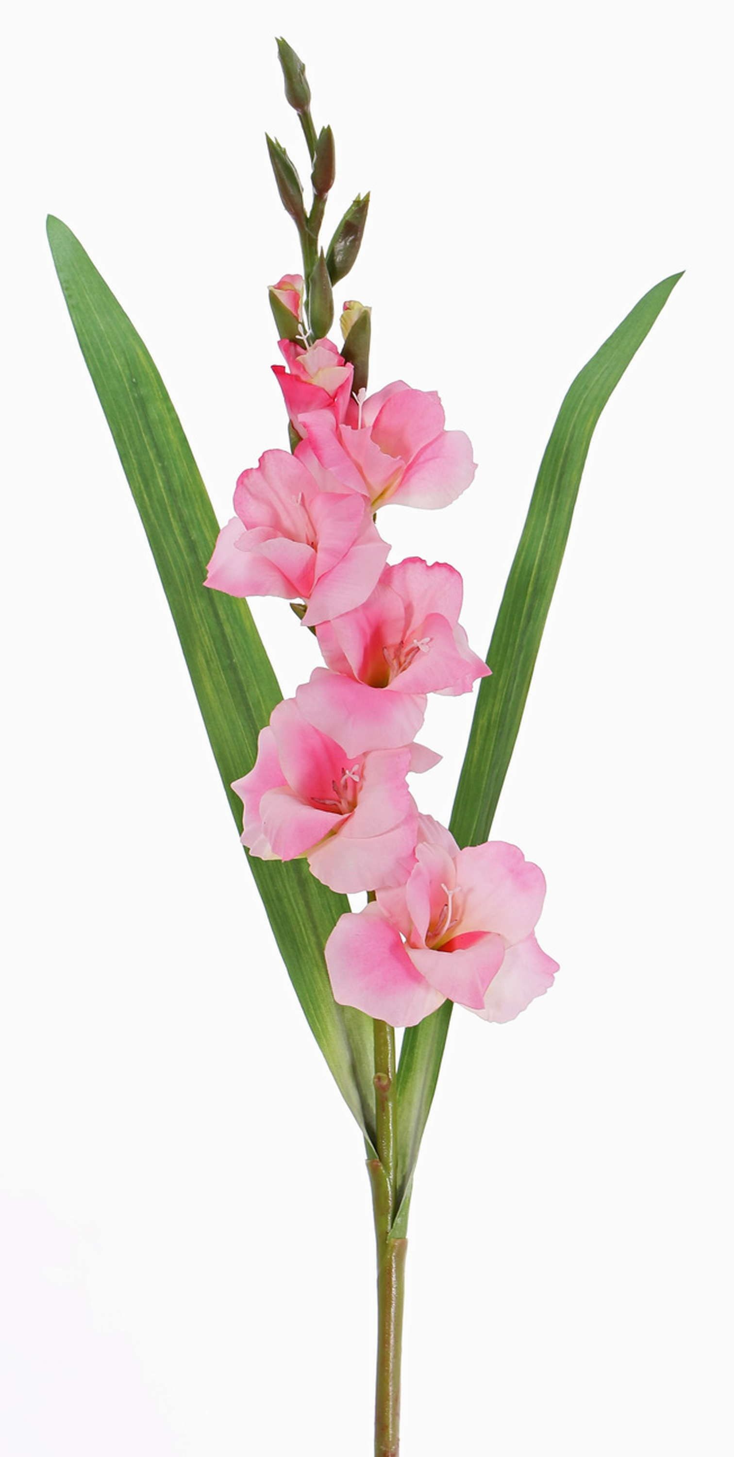 Kunstblume Künstliche Blume Gladiole ELEA, rosa, 85cm, Ø Gladiole, artplants, Höhe 80.0 cm