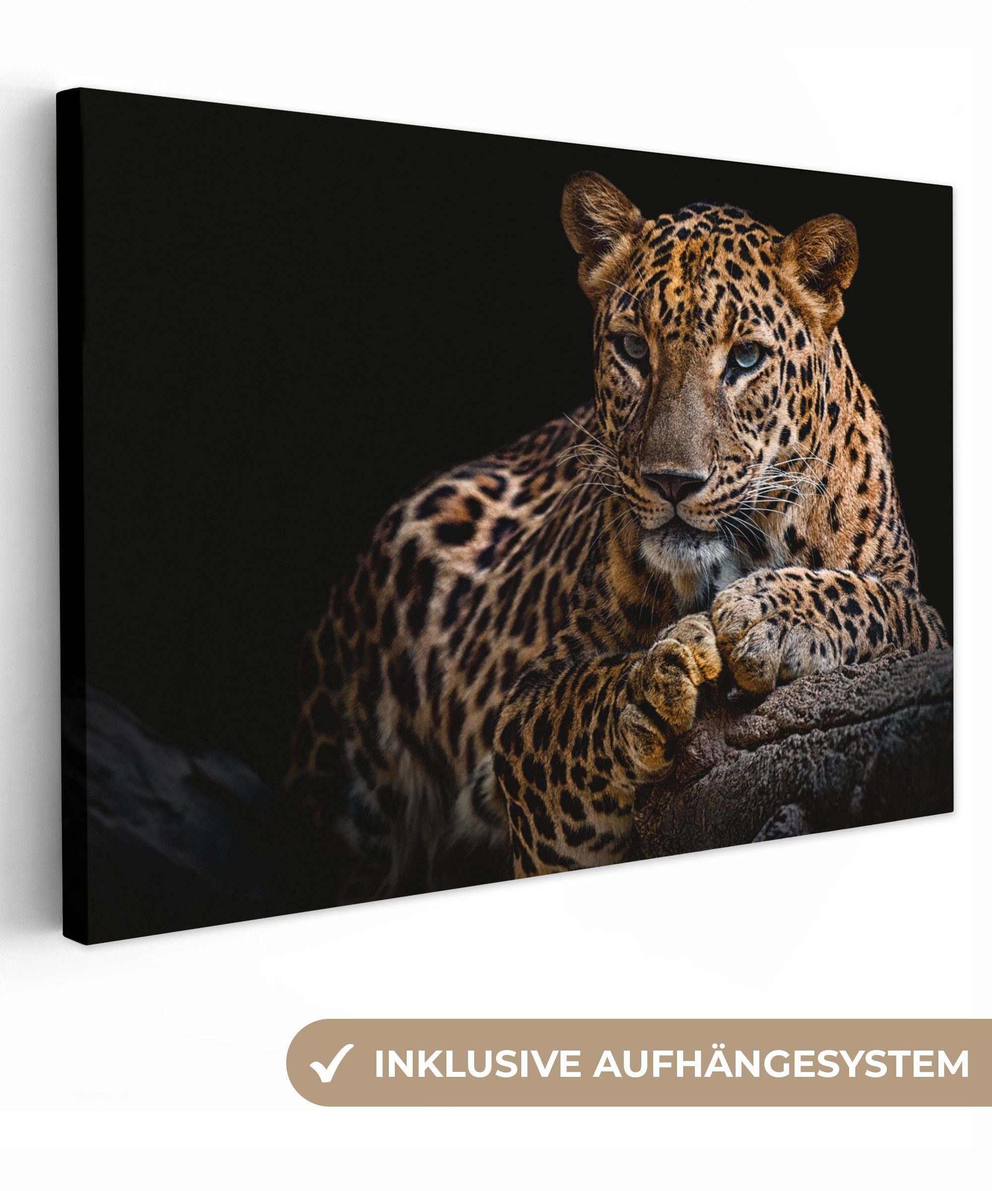 OneMillionCanvasses® Leinwandbild Wildtiere - Panther - Porträt - Schwarz - Tiere, (1 St), Wandbild für alle Wohnbereiche, Gemälde, XXL, großes, 120x80 cm