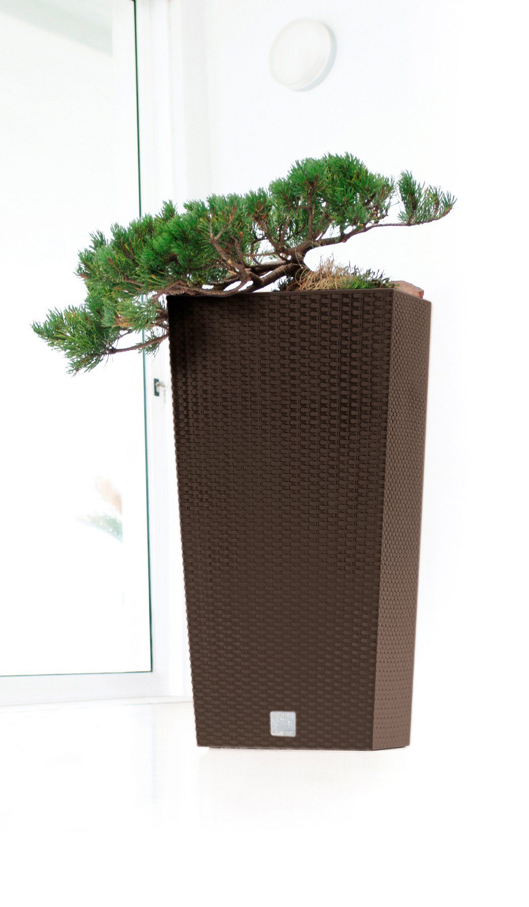 Prosperplast Blumentopf Rati Square 325, BxTxH: günstig online kaufen