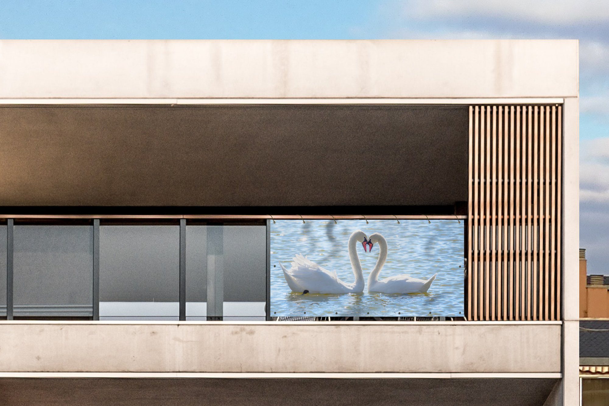 MuchoWow Balkonsichtschutz Vögel - Schwan - Wasser - Liebe - Sonne (1-St) Balkon Sichtschutz 90x200, Windschutz für Zaun PVC, 200x90 cm