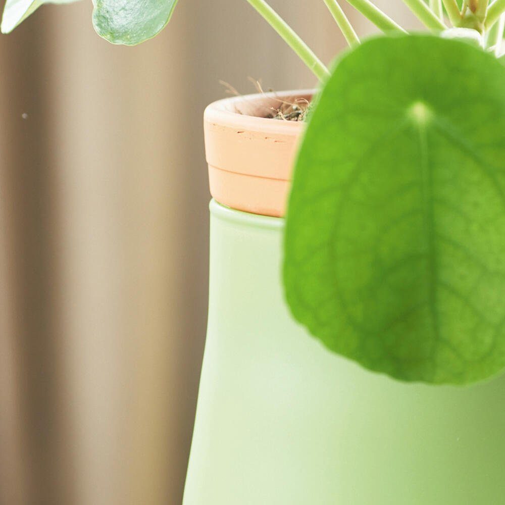 blumenkasten auf geländer befestigen Pflanzkasten für Geländer | 55 cm