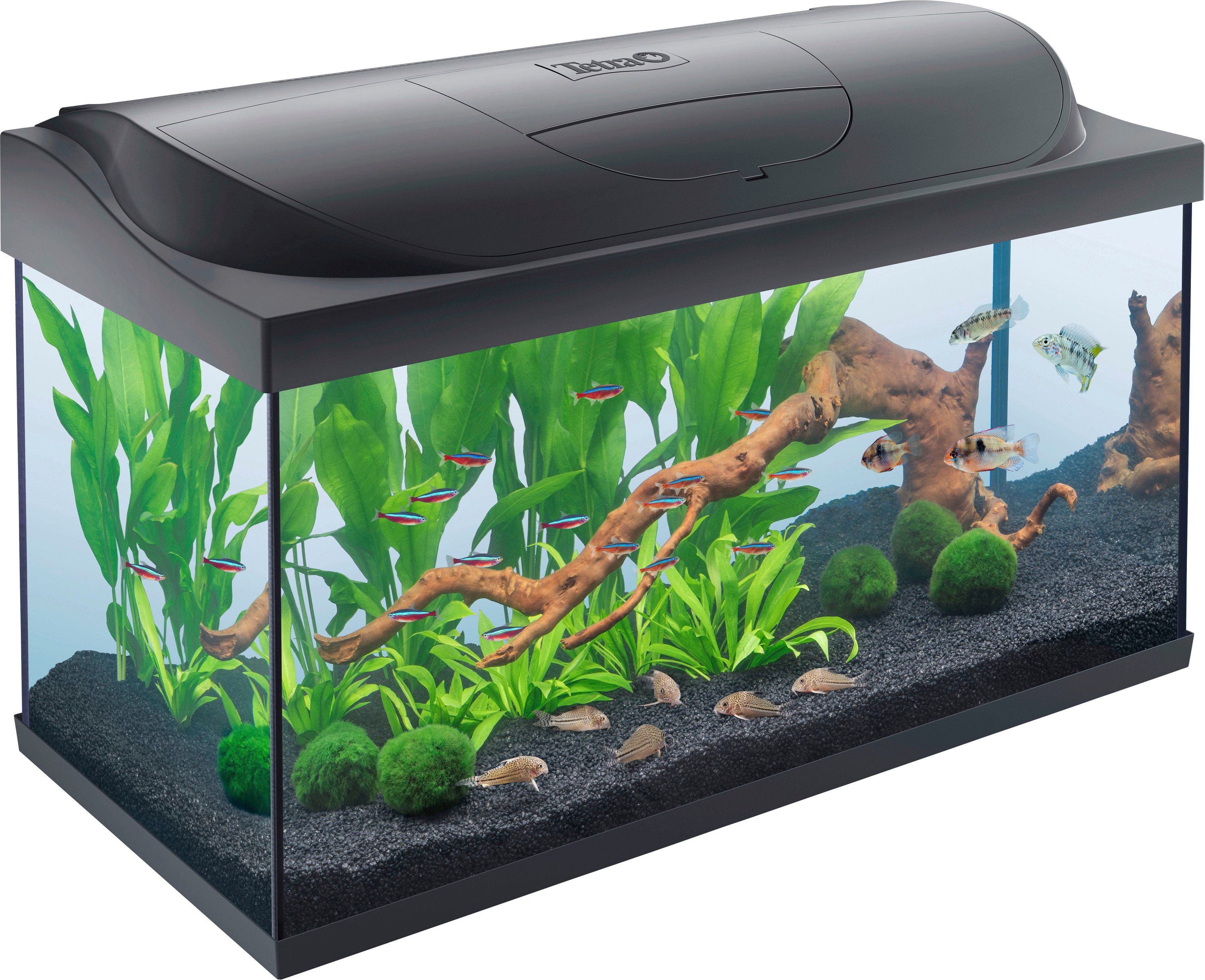 Aquarium-Komplettsets online kaufen | OTTO