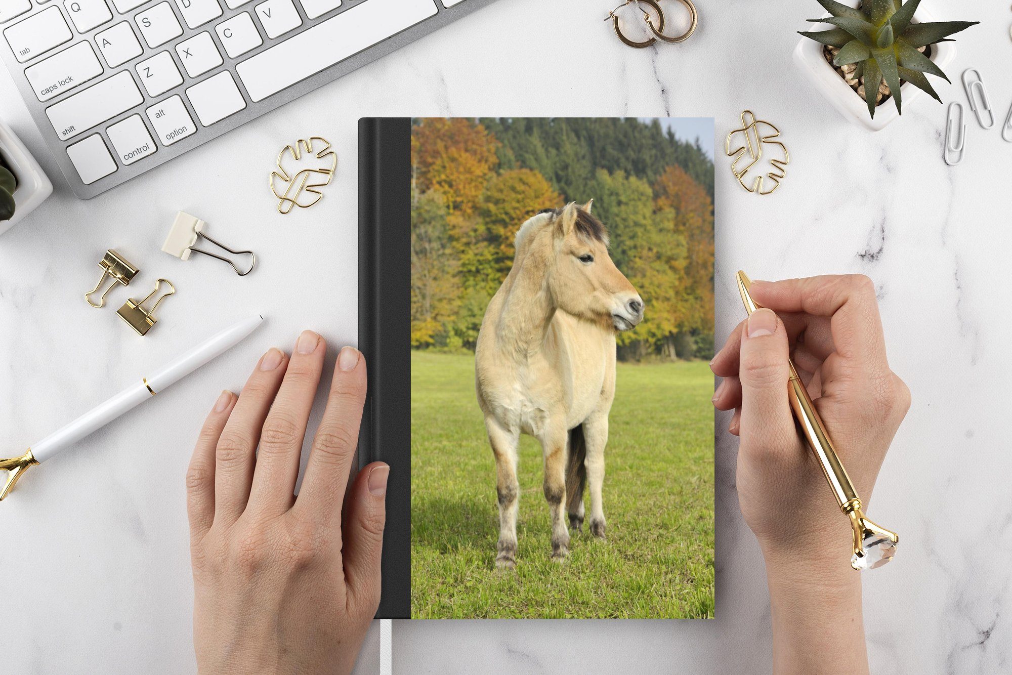 98 Fjordpferd Herbstlandschaft, Journal, MuchoWow Merkzettel, Notizheft, einer Haushaltsbuch in A5, Notizbuch Seiten, Tagebuch,