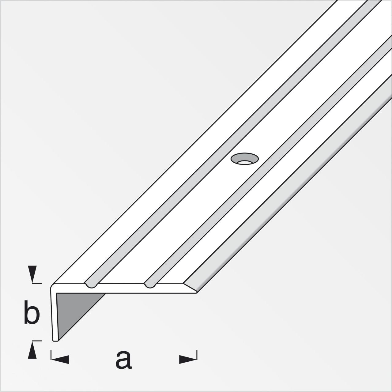 alfer Abschlussprofil alfer Abschlussprofil 1 m, günstig online kaufen