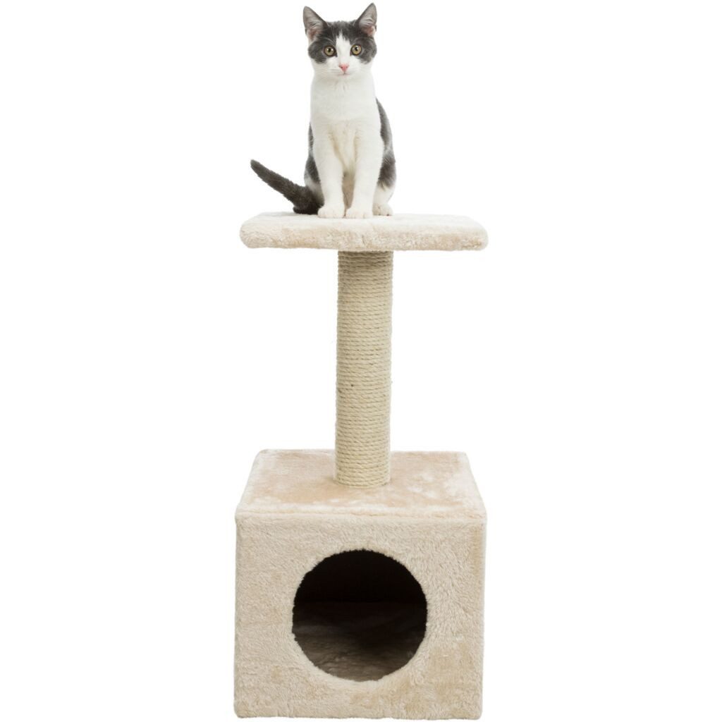 TRIXIE Kratzbaum Kratzbaum Zamora - beige - 60 cm
