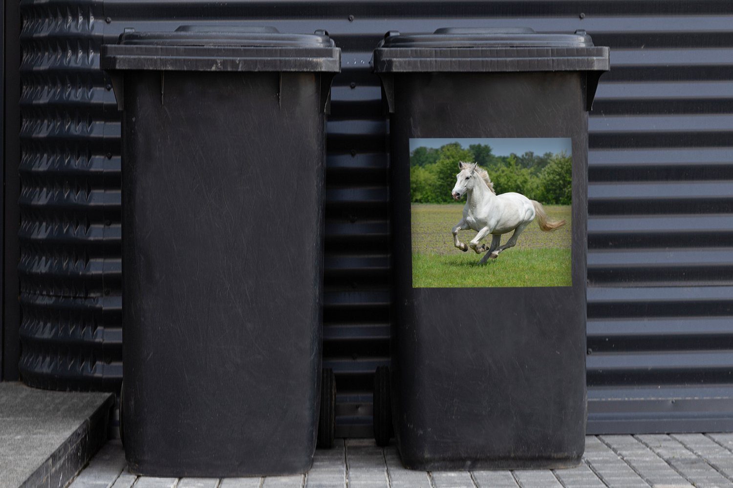 Natur St), Mülltonne, Mülleimer-aufkleber, MuchoWow Weiß Pferde Sticker, - Wandsticker Container, (1 - Abfalbehälter