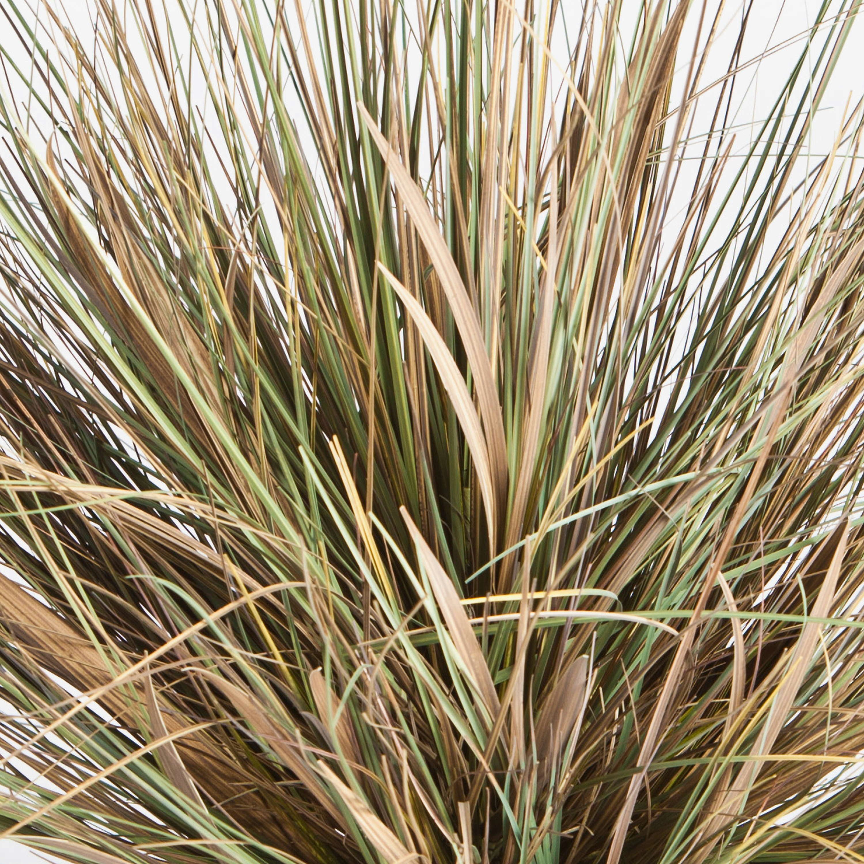 Kunstgras Künstliches Dünengras im Topf, grün-braun, 65cm - Kunstgras Strandhafer, artplants, Höhe 65.0 cm