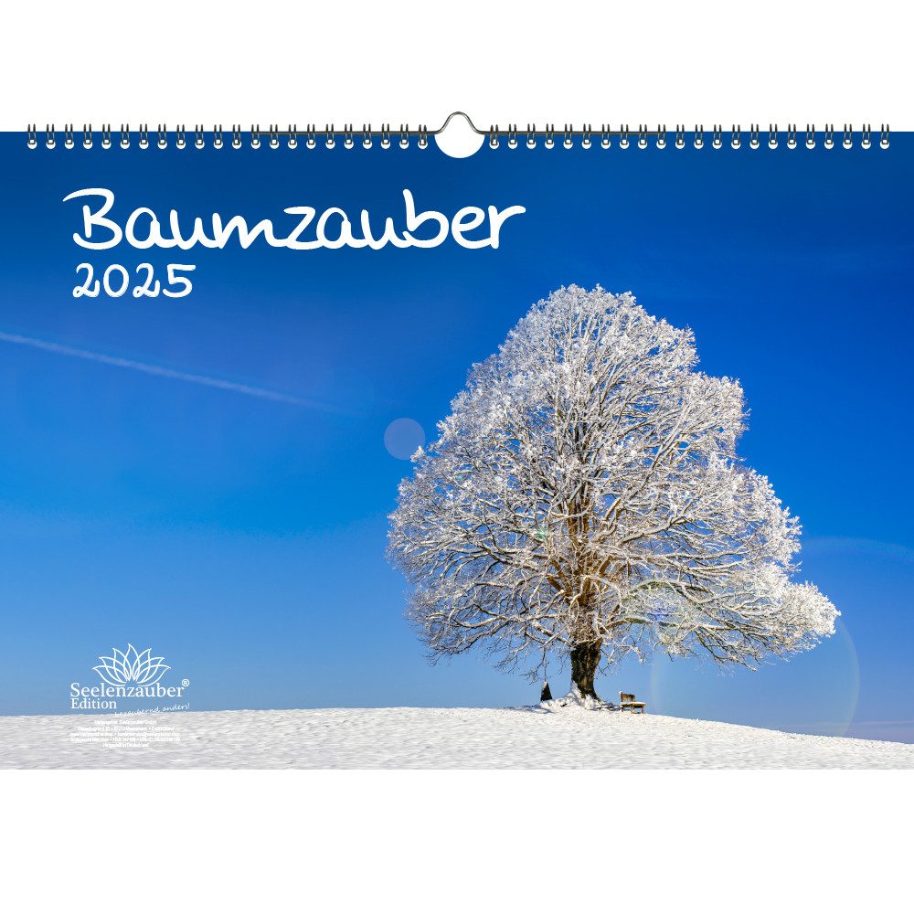Seelenzauber Wandkalender Baumzauber DIN A3 Kalender für 2025 Baum Bäume Wald Natur