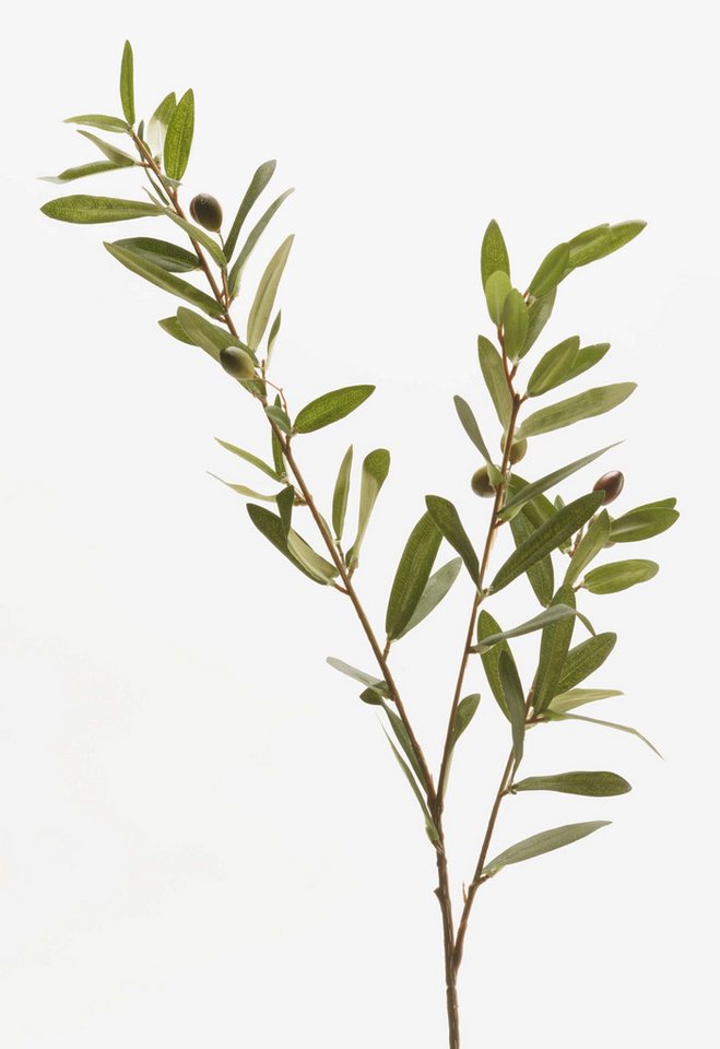 Kunstzweig Olivenzweig Parker mit Früchten, 80cm Olivenbaum, artplants