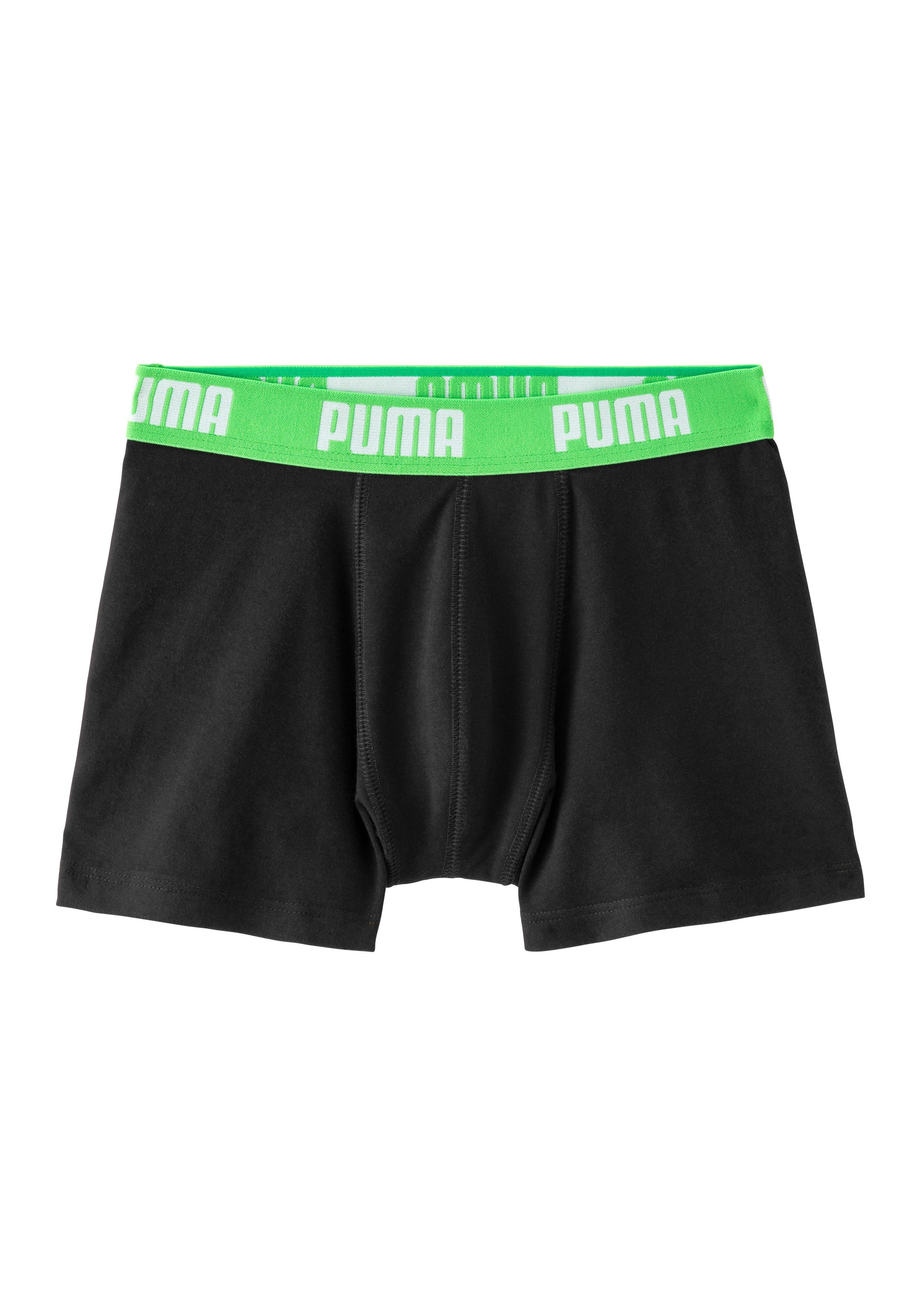 PUMA (Packung, Webbund mit Logo 2-St) Boxer