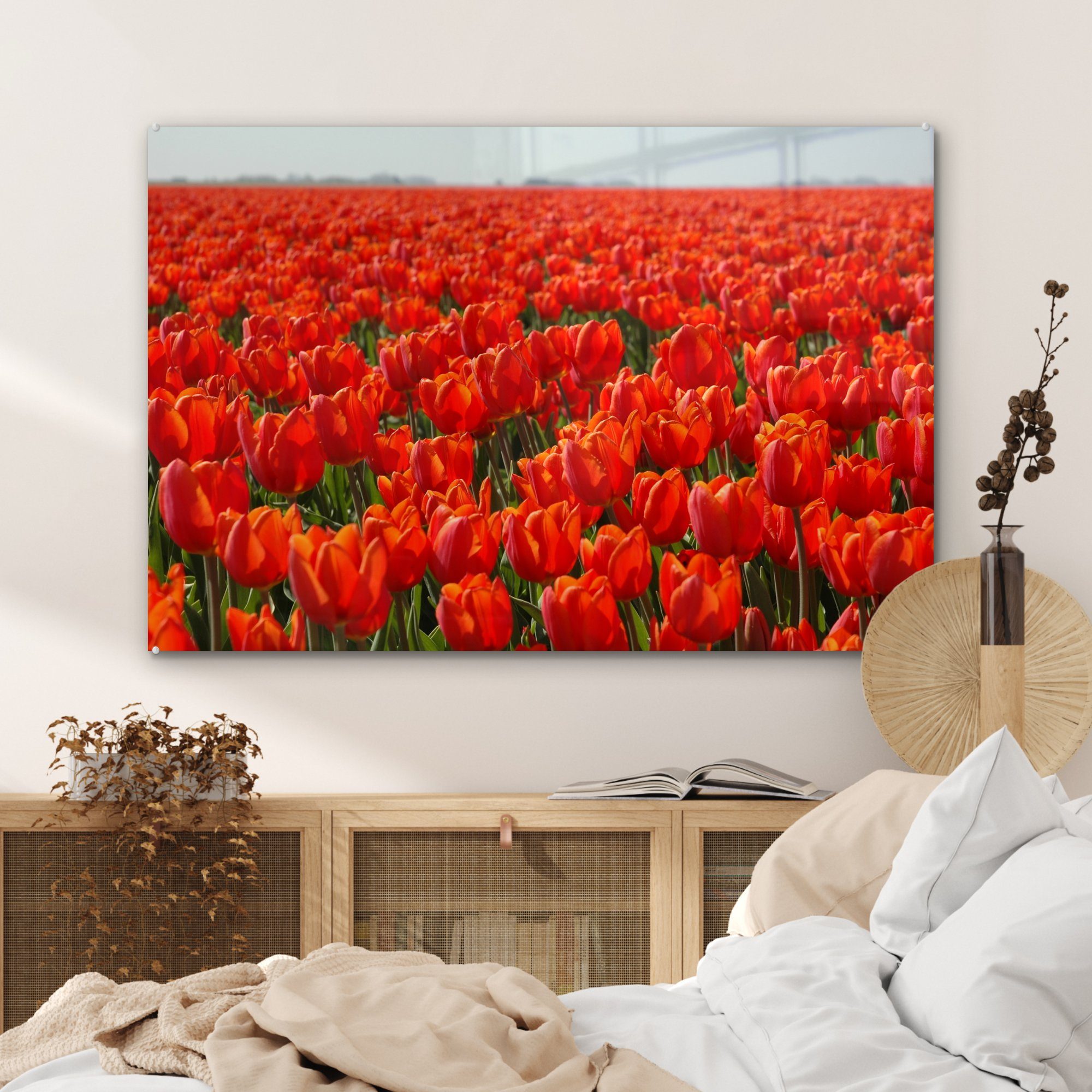 & Feld St), Schlafzimmer Tulpen, MuchoWow großes mit nur Acrylglasbild roten Wohnzimmer Acrylglasbilder (1 Ein