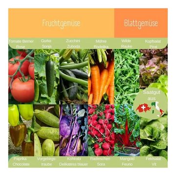 Romberg Anzucht- und Kräutererde Dein Bio Gemüsesamen Set (12 Samensorten) + POP UP Anzuchterde 1 L, (2-St)