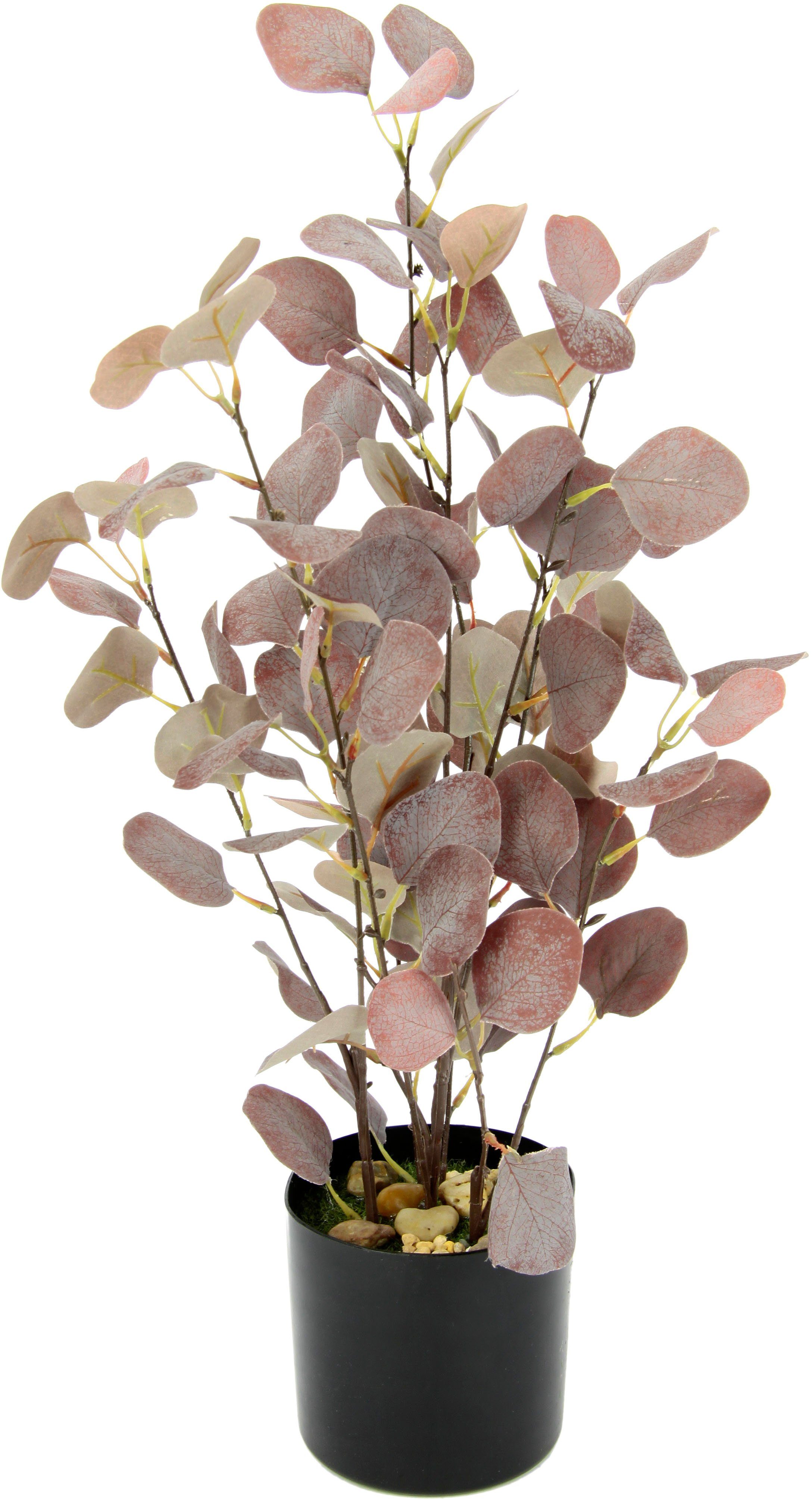 Kunstpflanze Eukalyptus, I.GE.A., Höhe 60 cm, Im Topf, mit Natursteinchen