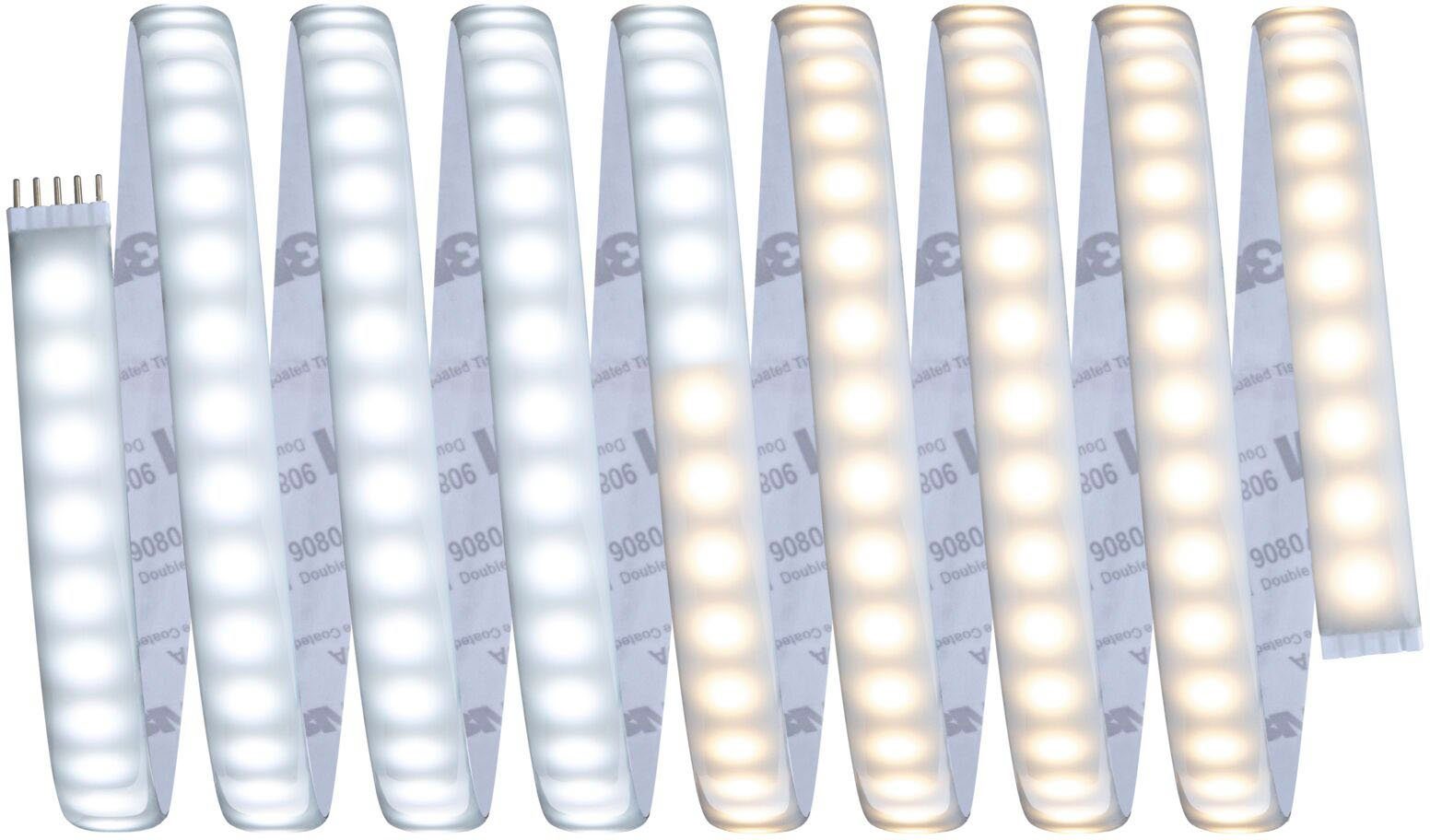 Paulmann LED-Streifen MaxLED 1000 Basisset 3m IP44 Cover 2700-6500K 32W 230/24V 60VA, 1-flammig, Tunable White