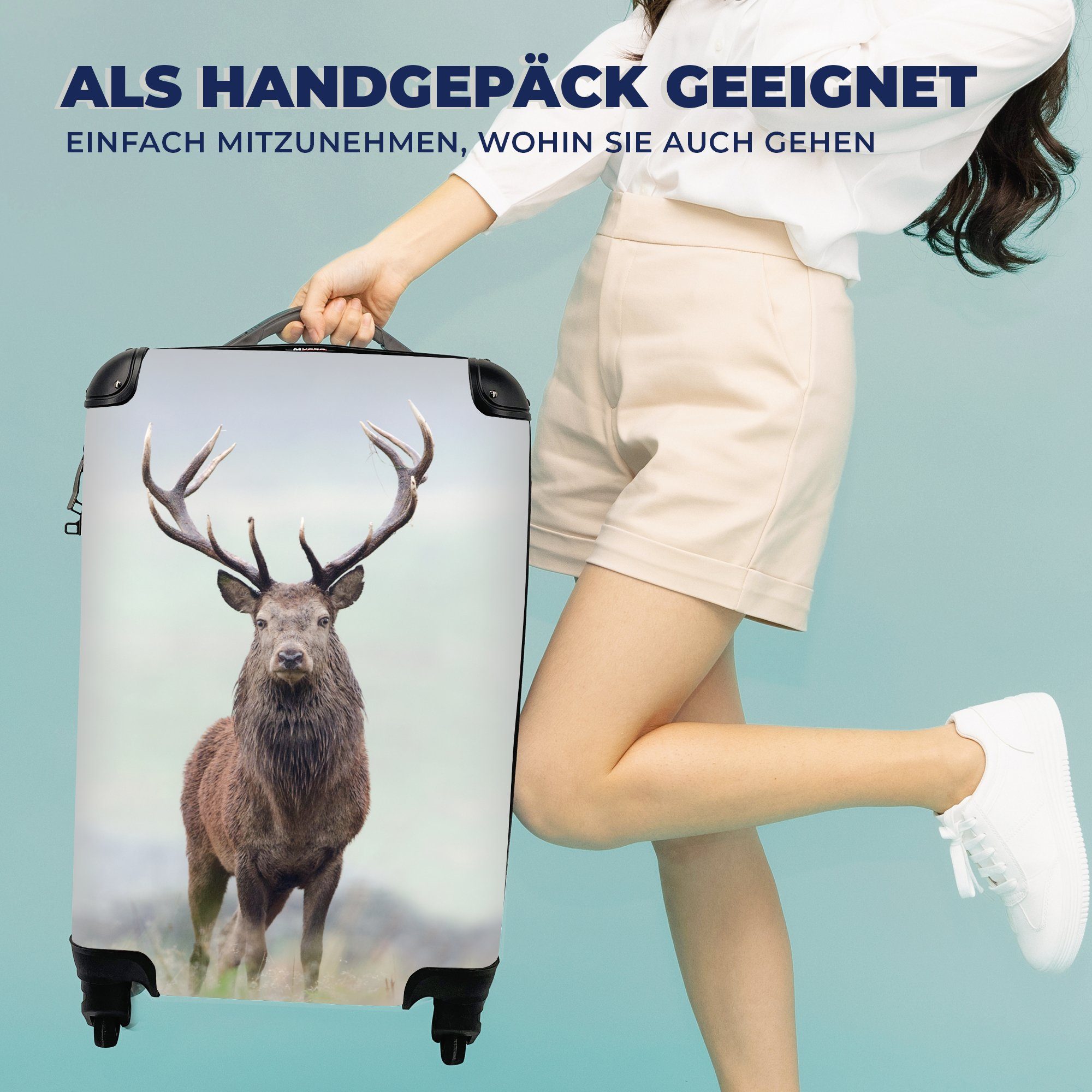 MuchoWow Hirsche mit Handgepäck Reisetasche Ferien, Handgepäckkoffer - Trolley, Himmel, Rollen, - für Reisekoffer Gras 4 rollen,