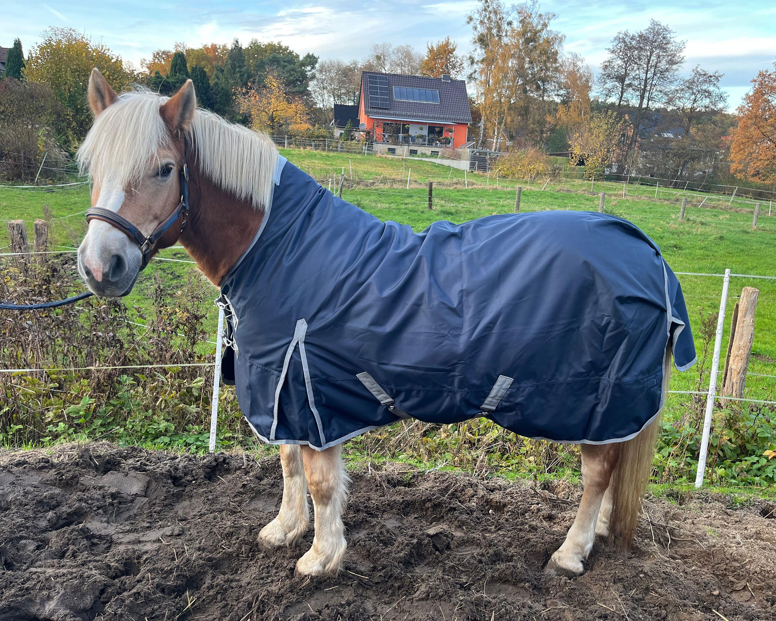 Brama-West Pferde-Thermodecke Winterdecke Nell - 1680D - 50g