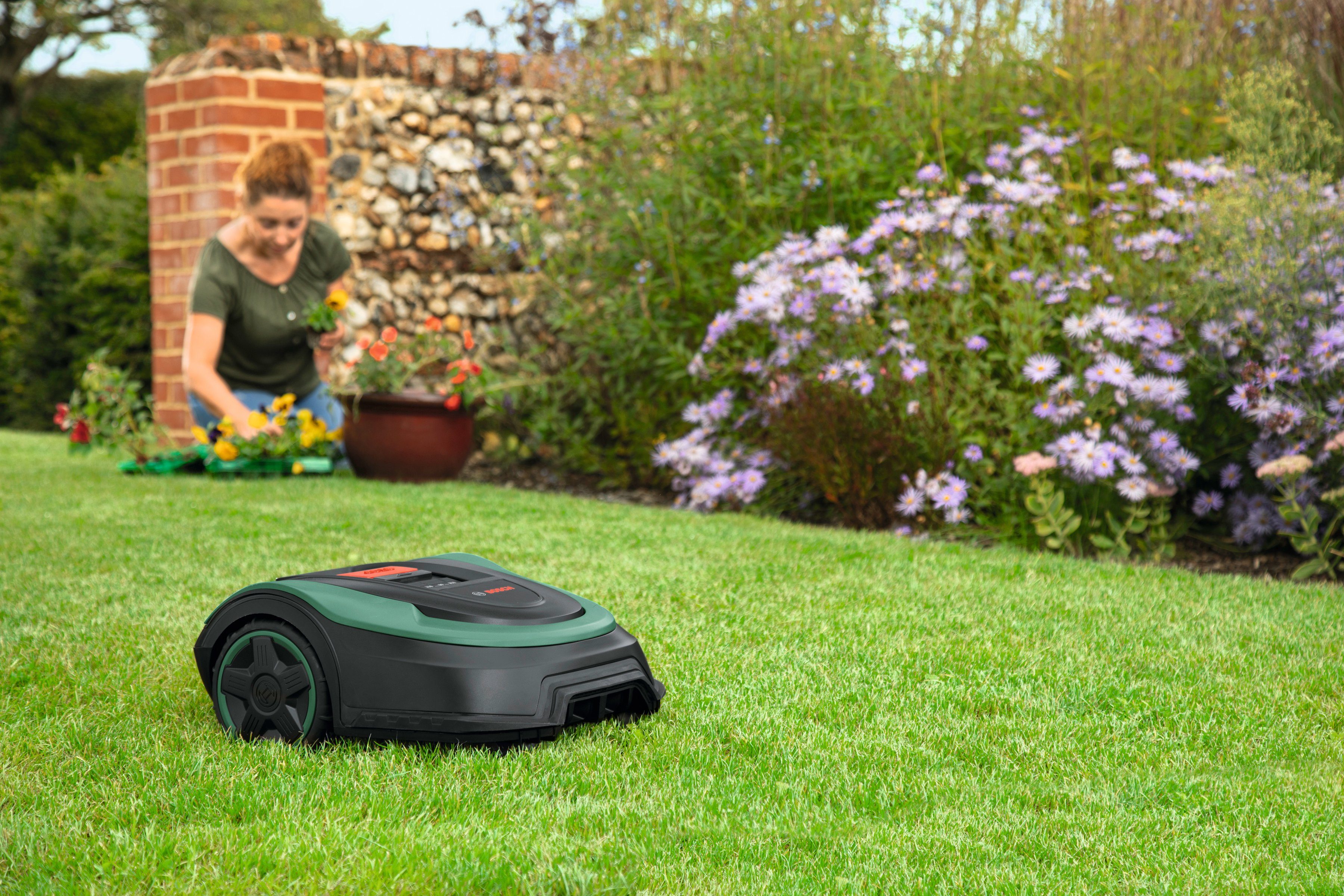 Bosch Home & Garden Rasenmähroboter Indego günstig online kaufen