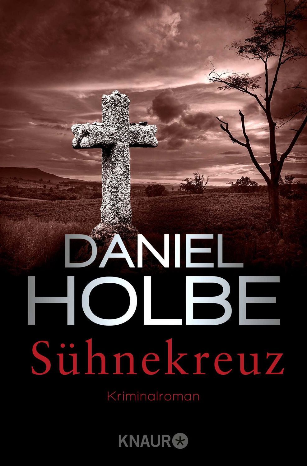 Belletristik Sühnekreuz Kriminalroman Daniel Holbe