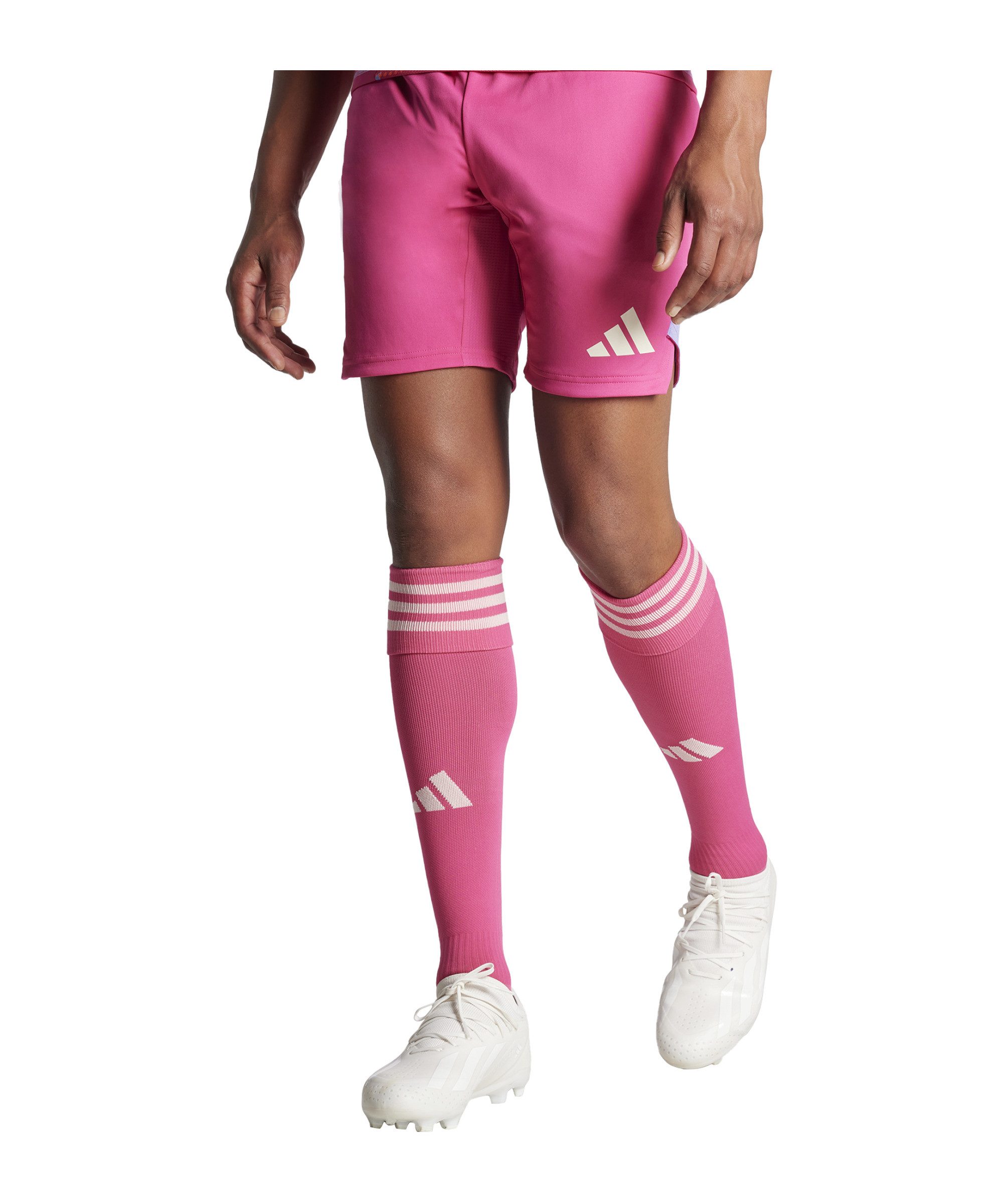 adidas Performance Torwarthose adidas Performance Tiro 24 Pro Torwartshort