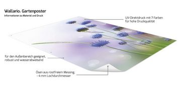 Wallario Sichtschutzzaunmatten Abstrakte lila Blume