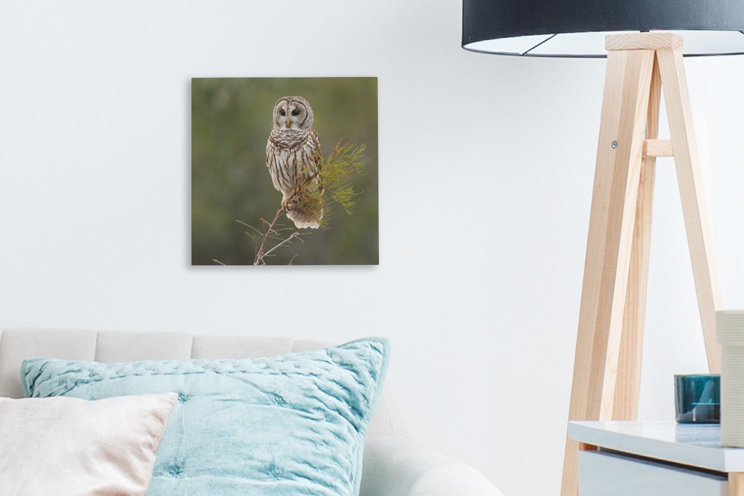 OneMillionCanvasses® Leinwandbild Braune Eule (1 St), einem Wohnzimmer Ast, Bilder auf dünnen für Leinwand Schlafzimmer