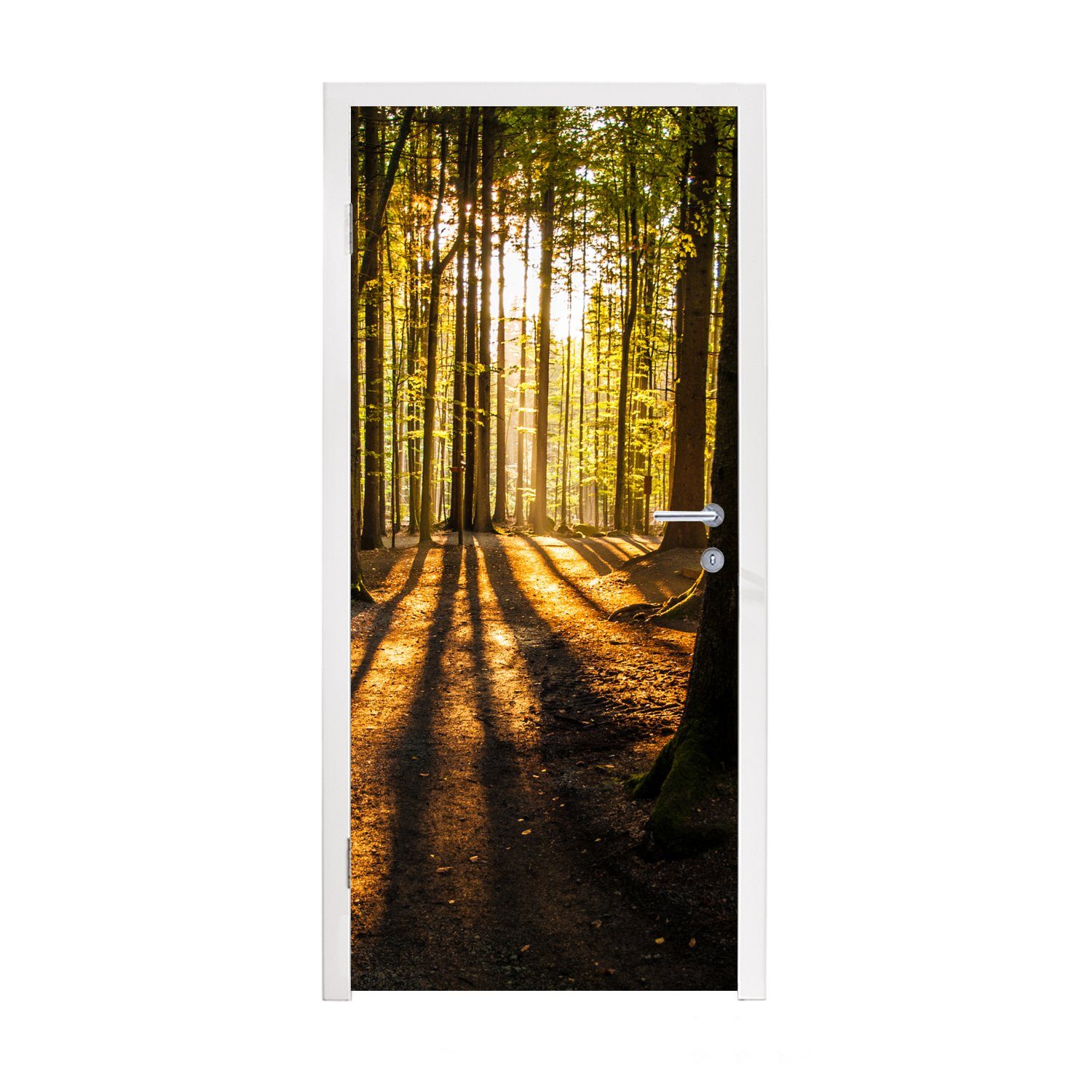 - Landschaft Türaufkleber, Matt, Natur, Wald Fototapete Türtapete MuchoWow 75x205 Tür, - - für bedruckt, - Sonne Bäume (1 cm St),