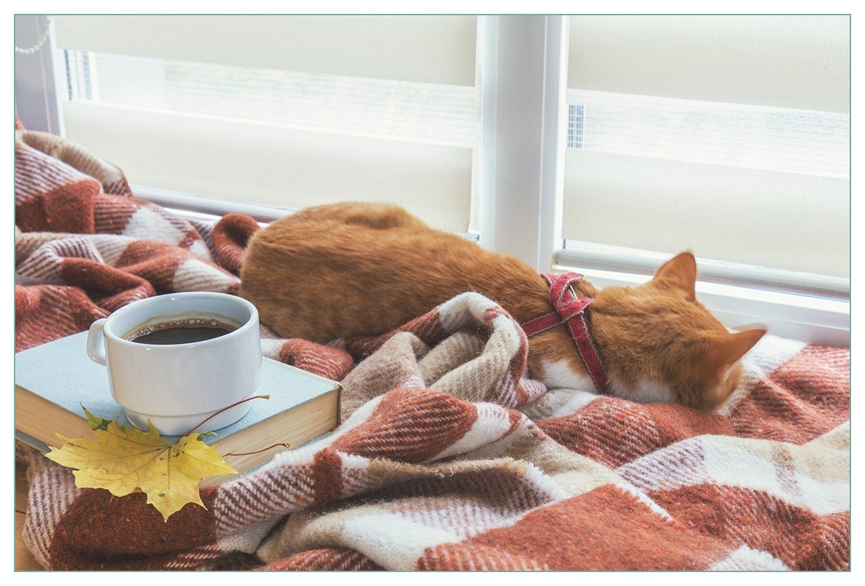 Schlafende (1-tlg) Katze Küchenrückwand beim Wallario Kaffeekränzchen,