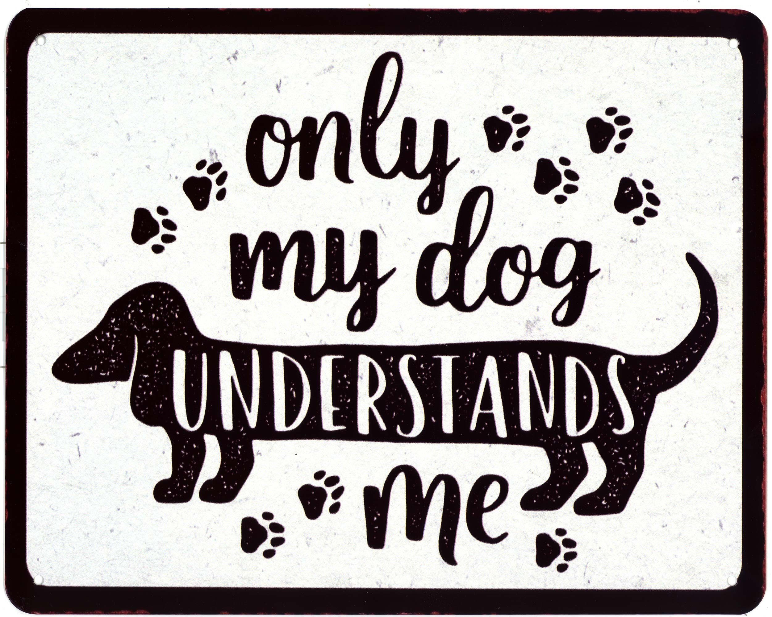 Metallschild Blechschild Only my dog understands me