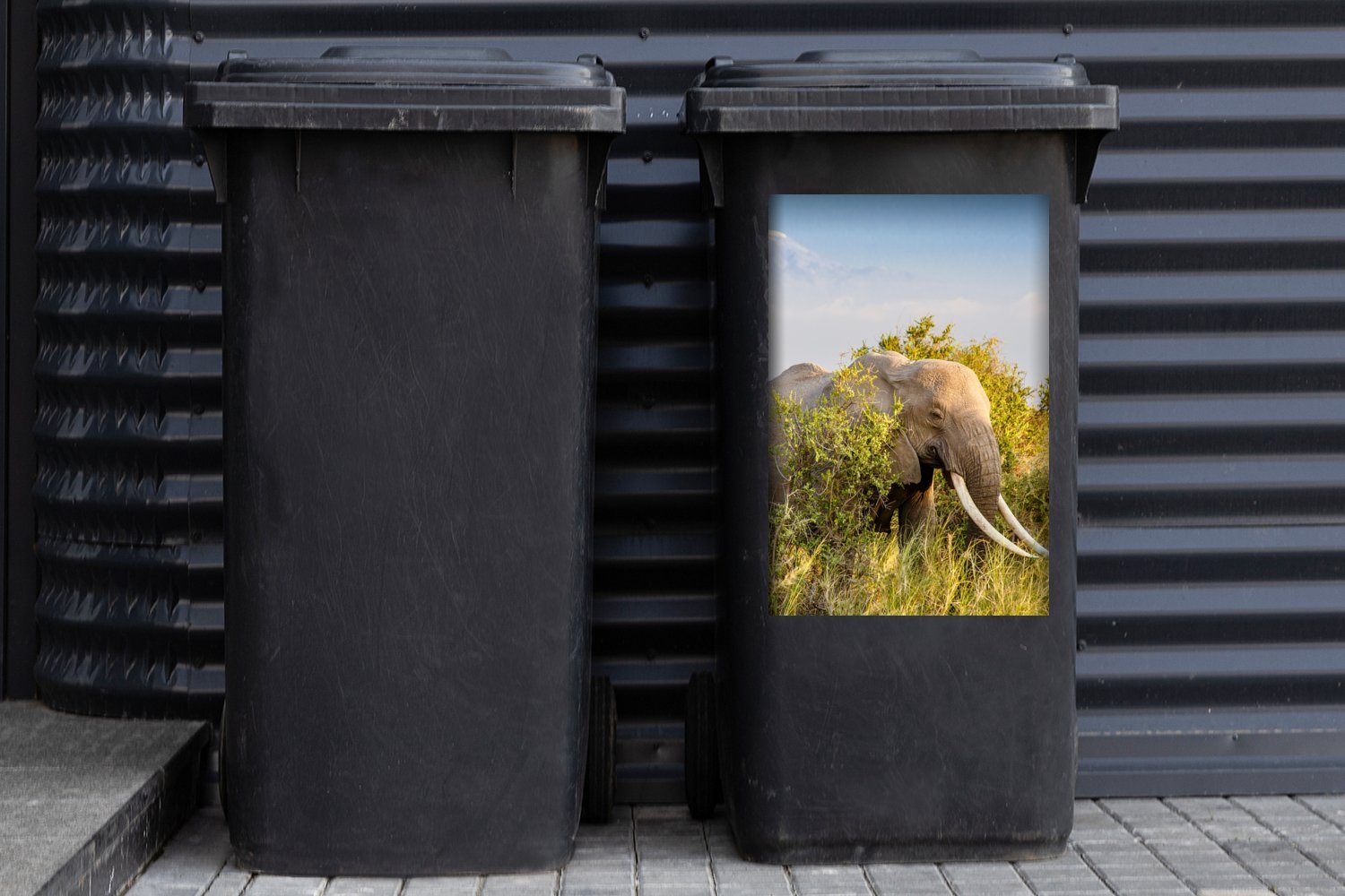 - - Gras St), Wandsticker Container, Elefant - Berg Mülltonne, Mülleimer-aufkleber, (1 - Abfalbehälter MuchoWow Sticker, Tiere Grün