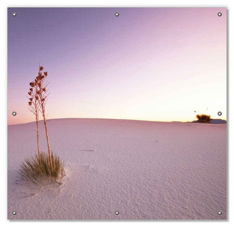 Sonnenschutz Kleine Oase in der Wüste, Wallario, blickdicht, mit Saugnäpfen, wiederablösbar und wiederverwendbar