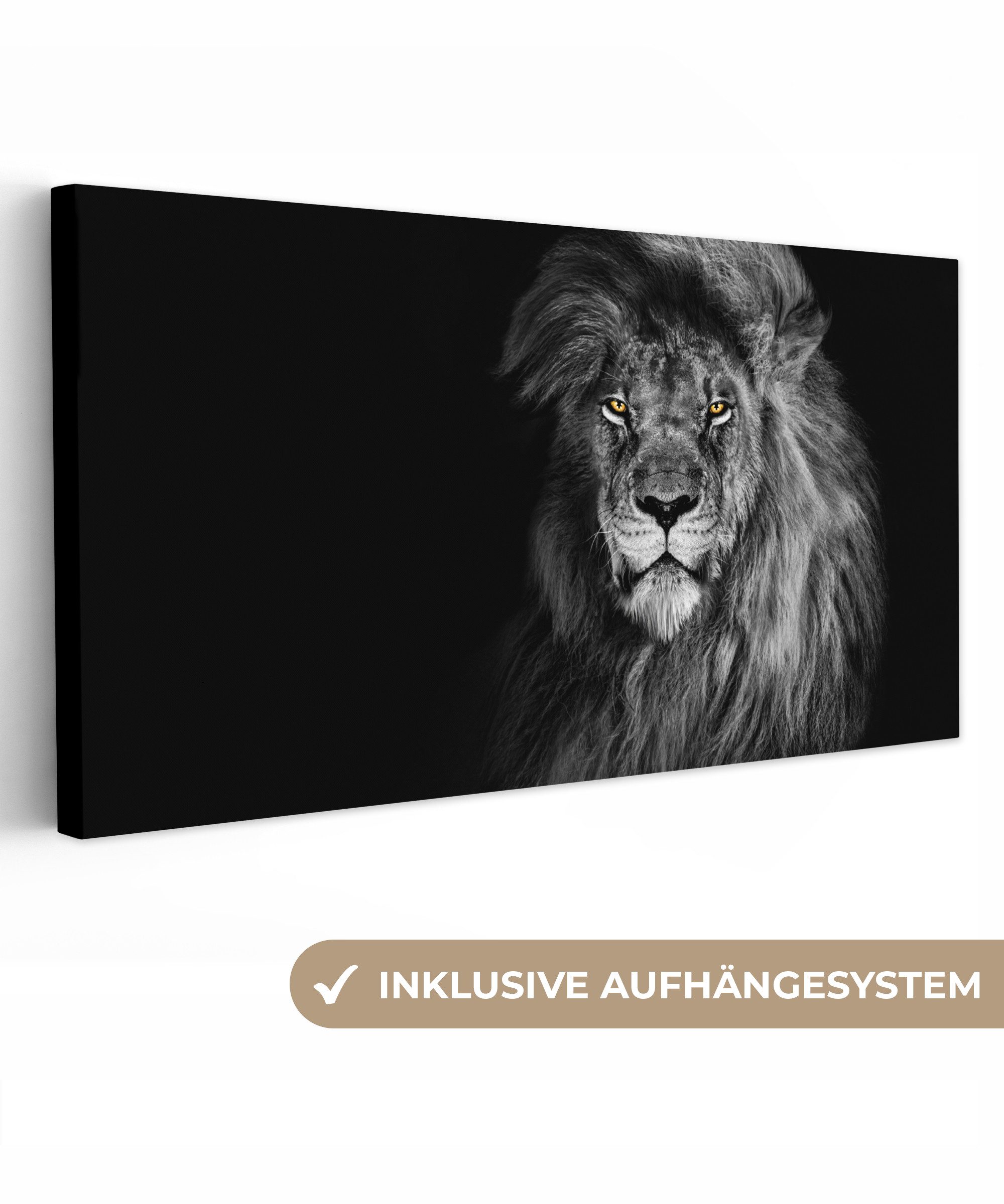 OneMillionCanvasses® Leinwandbild Panorama Löwe - Augen günstig online kaufen