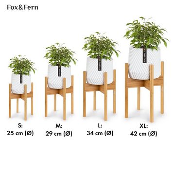 Fox & Fern Hochbeet Zeist Pflanzenhalter