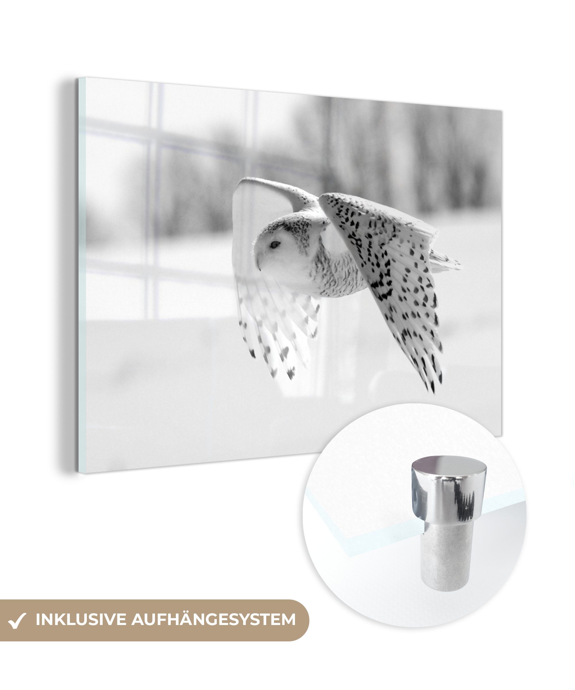 MuchoWow Acrylglasbild Schnee-Eule fliegt über eine Winterlandschaft - schwarz und weiß, (1 St), Acrylglasbilder Wohnzimmer & Schlafzimmer