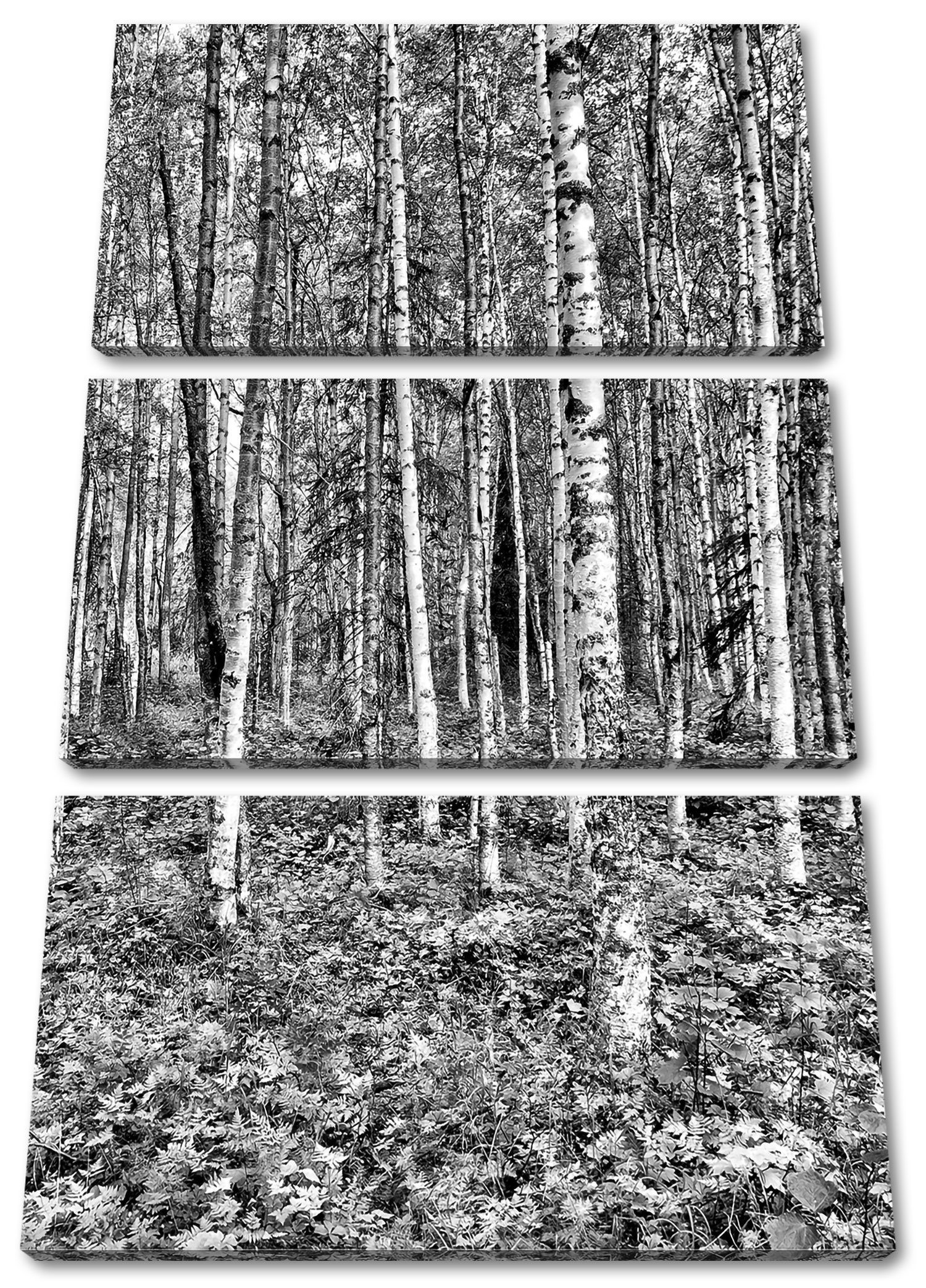 Pixxprint Leinwandbild Birkenwald, Birkenwald 3Teiler (120x80cm) (1 St), Leinwandbild fertig bespannt, inkl. Zackenaufhänger