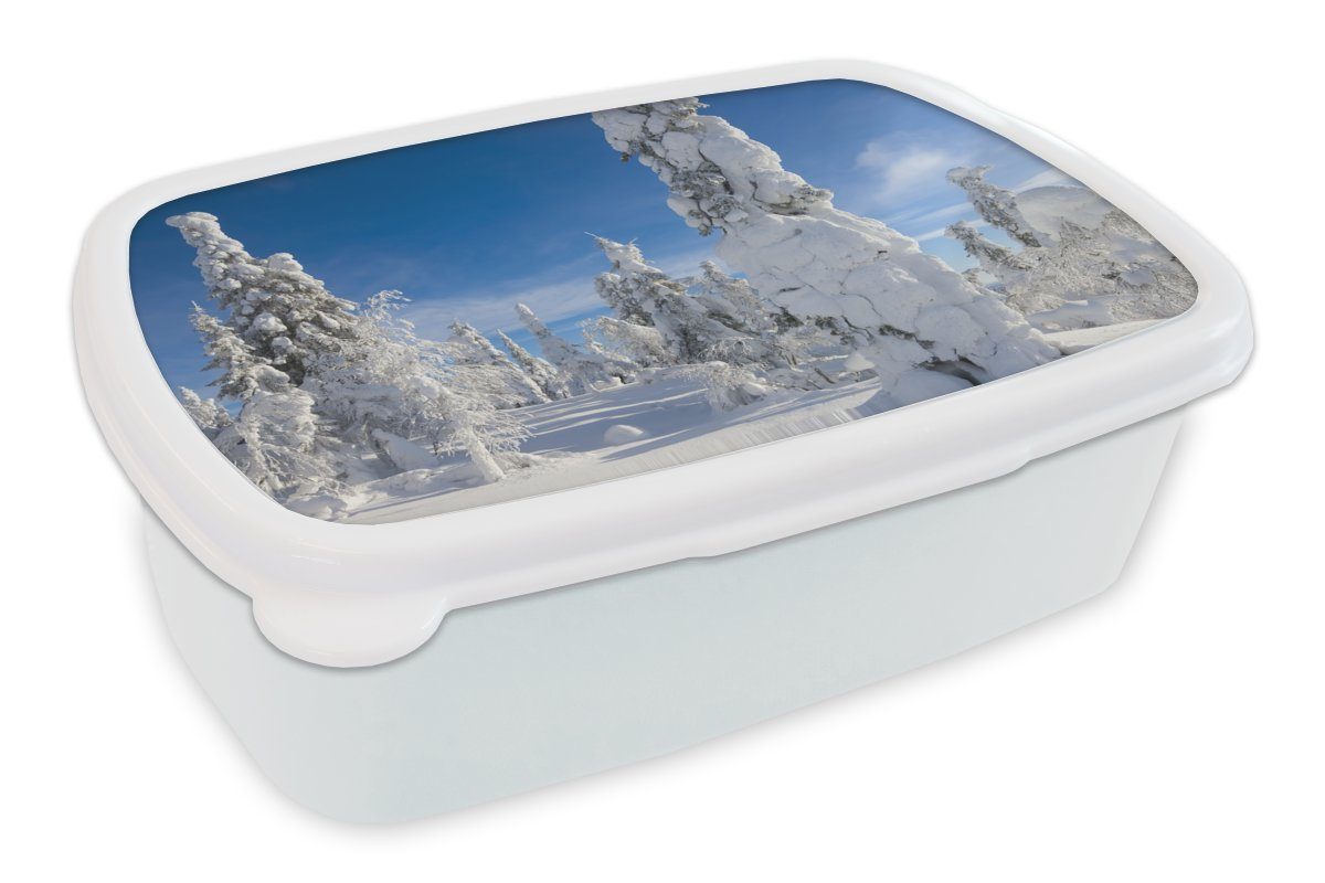 Mädchen Himmel Brotbox und über Lappland, in für Kunststoff, weiß blauer Winterlandschaft und Brotdose, Kinder der MuchoWow Erwachsene, (2-tlg), Jungs Ein Lunchbox für