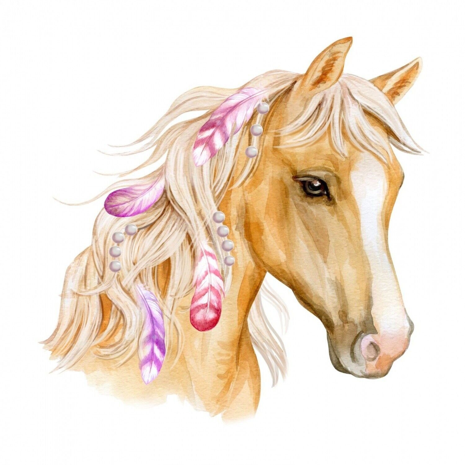 nikima Wandtattoo 236 Wandtattoo Pferd Kopf günstig online kaufen