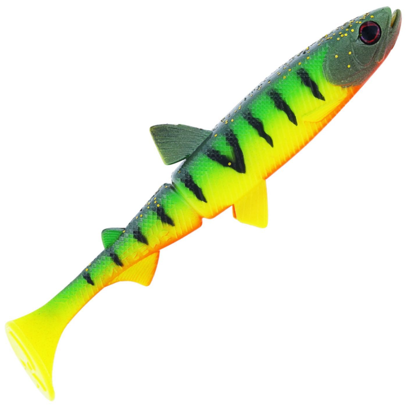 Tiger Perch