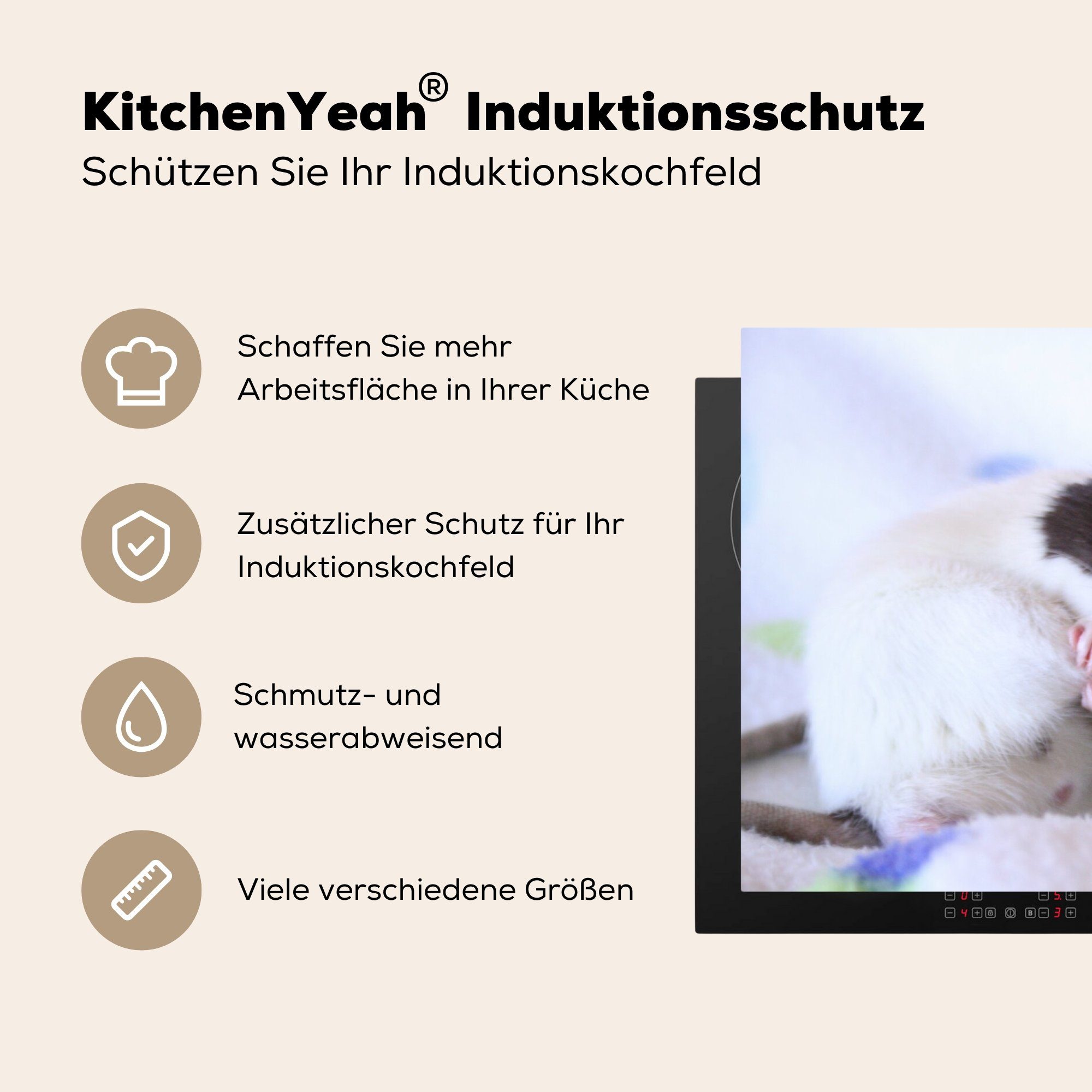 Zwei Knuddeln, Herdblende-/Abdeckplatte für Induktionskochfeld tlg), Vinyl, 81x52 die küche, Ceranfeldabdeckung cm, Ratten (1 MuchoWow zum Schutz