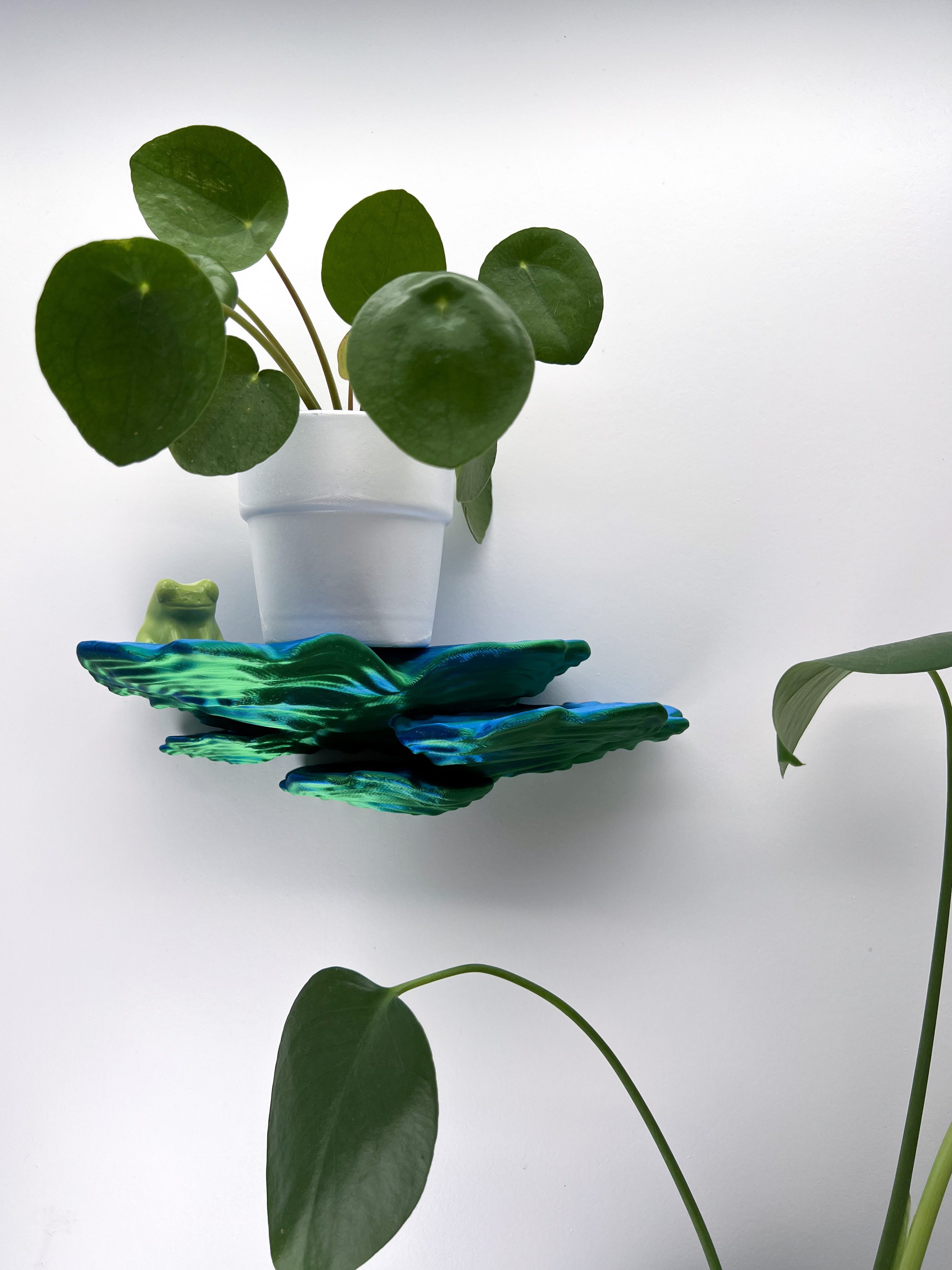 Roomberry Deko-Wandregal Schwebendes Schichtpilz Wandregal – Das perfekte D günstig online kaufen