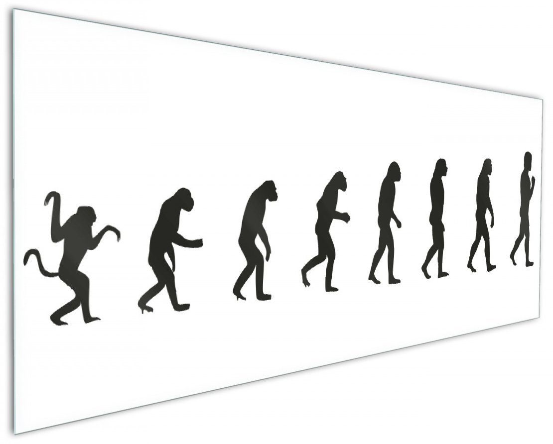 Wallario Küchenrückwand Evolution - Die Entwicklung des Menschen, (1-tlg)