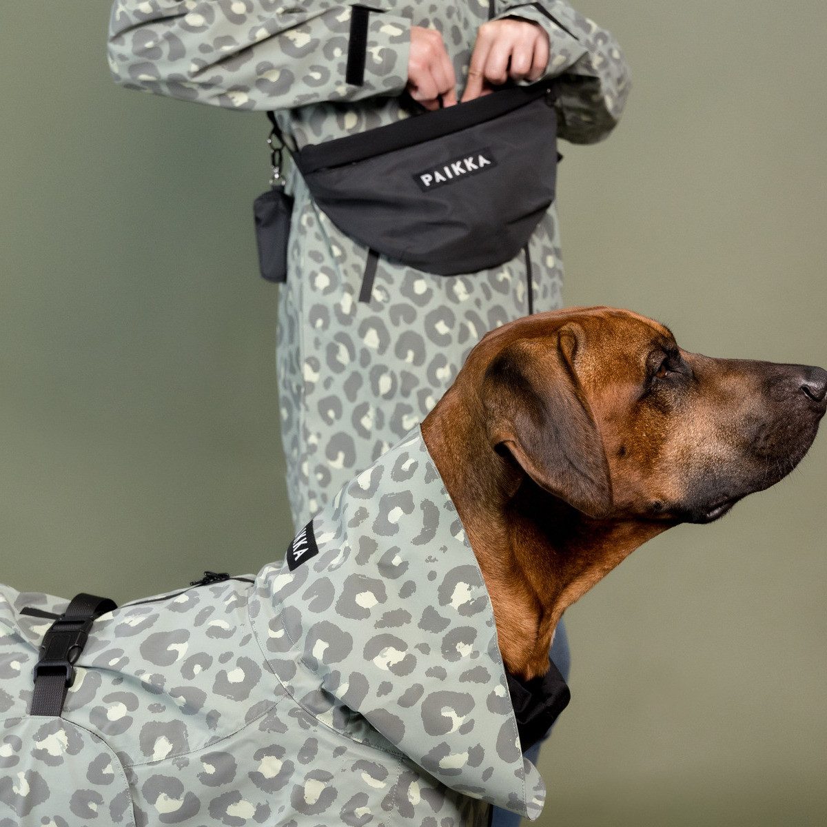 PAIKKA Hunderegenmantel Hunde Regenmantel reflektierend "Visibility Raincoat" green leo