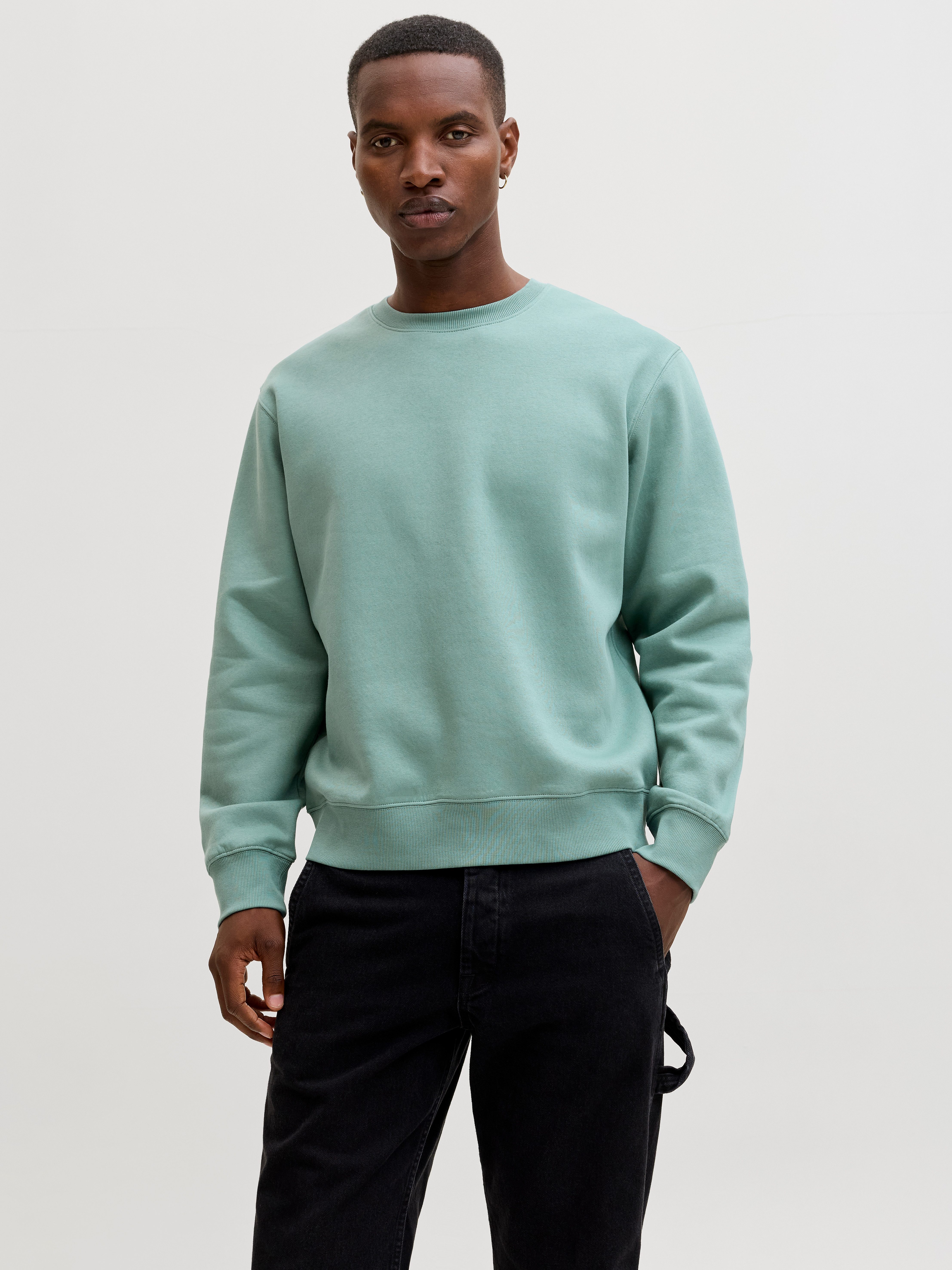 Jack & Jones Sweatshirt JJESTAR BASIC SWEAT CREW NECK NOOS mit Rundhalsausschnitt